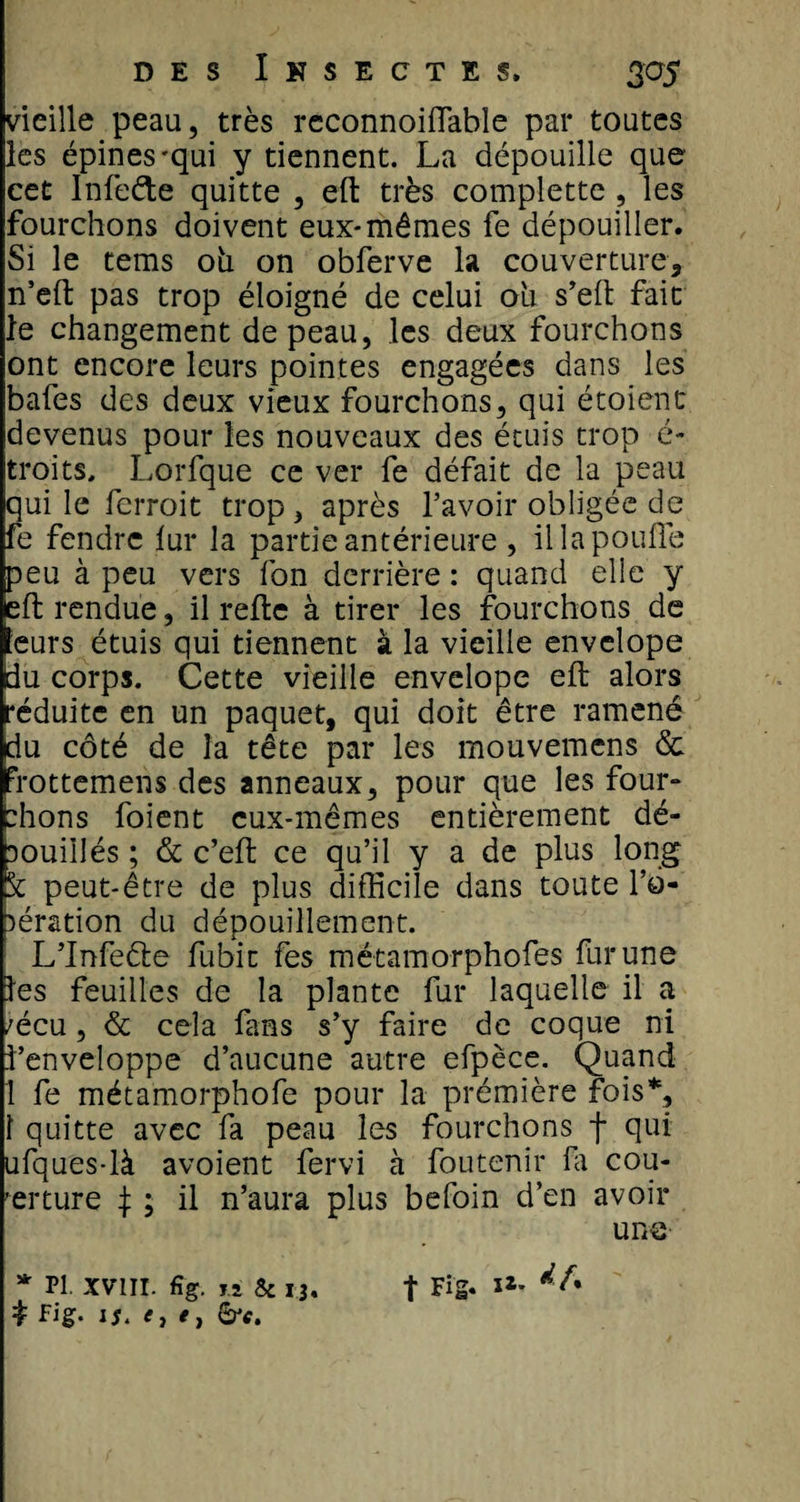 vieille peau, très rcconnoiiïable par toutes les épines-qui y tiennent. La dépouille que cet Infeéte quitte , eft très complette , les fourchons doivent eux-mêmes fe dépouiller. Si le tems 011 on obferve la couverture, n’eft pas trop éloigné de celui ou s’eft fait le changement de peau, les deux fourchons ont encore leurs pointes engagées dans les bafes des deux vieux fourchons, qui étoient devenus pour les nouveaux des étuis trop é- troits, Lorfque ce ver fe défait de la peau qui le fcrroit trop, après l’avoir obligée de fe fendre lui* la partie antérieure , il la pouffe peu à peu vers fon derrière : quand elle y eft rendue, il refie à tirer les fourchons de leurs étuis qui tiennent à la vieille envelope Üu corps. Cette vieille envelope eft alors réduite en un paquet, qui doit être ramené du côté de la tête par les mouvemens &amp; Frottemens des anneaux, pour que les four- :hons foient eux-mêmes entièrement dé¬ pouillés ; &amp; c’eft ce qu’il y a de plus long k peut-être de plus difficile dans toute l’o¬ pération du dépouillement. L’Infeéle fubic fes métamorphofes fur une les feuilles de la plante fur laquelle il a /écu, &amp; cela fans s’y faire de coque ni î’enveloppe d’aucune autre efpèce. Quand 1 fe métamorphofe pour la prémière fois*, 1 quitte avec fa peau les fourchons f qui ufques-là avoient fervi à foutenir fa cou¬ verture $ ; il n’aura plus befoin d’en avoir une * pi. xviii. % jï &amp; ij. | fî's* IZ* £ Fig. is. e, e,