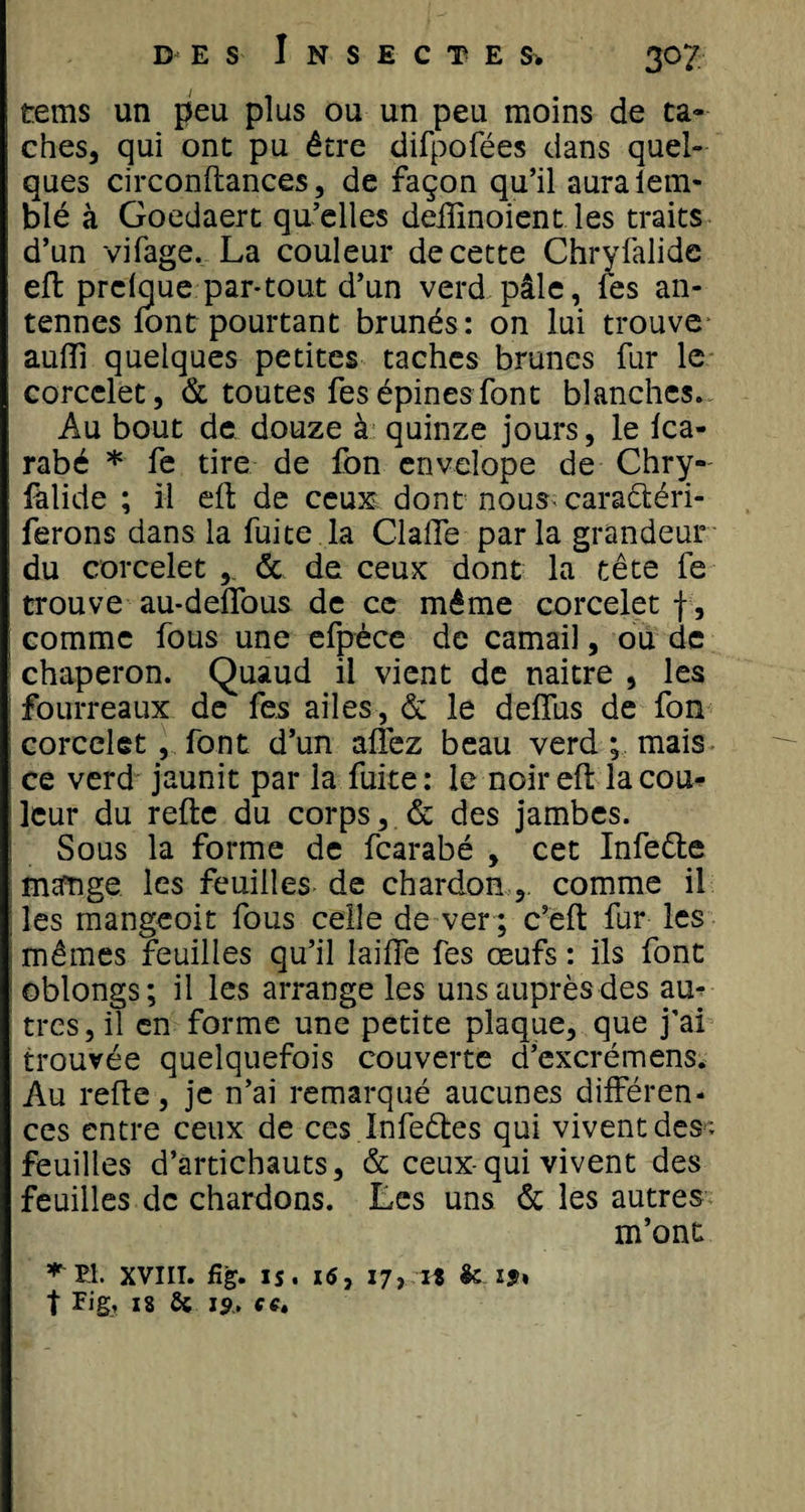 tems un peu plus ou un peu moins de ta¬ ches, qui ont pu être difpofées dans quel¬ ques circonllances, de façon qu’il auralem- blé à Goedaert qu’elles delïïnoient les traits d’un vifage. La couleur de cette Chryfalide efl prclque par-tout d’un verd pâle, fes an¬ tennes font pourtant brunés: on lui trouve aulïï quelques petites taches brunes fur le corcelet, &amp; toutes fes épines font blanches. Au bout de douze à quinze jours, le Ica- rabé * fe tire de fon enveiope de Chry- fâlide ; il efl de ceux dont nous- caraêtéri- ferons dans la fuite la Gaffe parla grandeur du corcelet ,. &amp; de ceux dont la tête fe trouve au-deffous de ce même corcelet f, comme fous une efpèce de camail, ou de chaperon. Quaud il vient de naitre , les fourreaux de fes ailes , &amp; le defîus de fon corcelet , font d’un allez beau verd ; mais ce verd jaunit par la fuite: le noir efl la cou¬ leur du relie du corps, &amp; des jambes. Sous la forme de fearabé , cet Infeêle mange les feuilles de chardon, comme il les mangeoit fous celle de ver ; c’eft fur les mêmes feuilles qu’il lailfe fes œufs : ils font oblongs; il les arrange les uns auprès des au^ très, il en forme une petite plaque, que j’ai trouvée quelquefois couverte d’excrémens. Au relie, je n’ai remarqué aucunes différen¬ ces entre ceux de ces Infeêtes qui vivent des; feuilles d’artichauts, &amp; ceux-qui vivent des feuilles de chardons. Les uns &amp; les autres m’ont ^ PI. XVIII. fi g. 1 s. 16, 17 j it &amp; 1?» t Fig, 18 ôc 19, C£é
