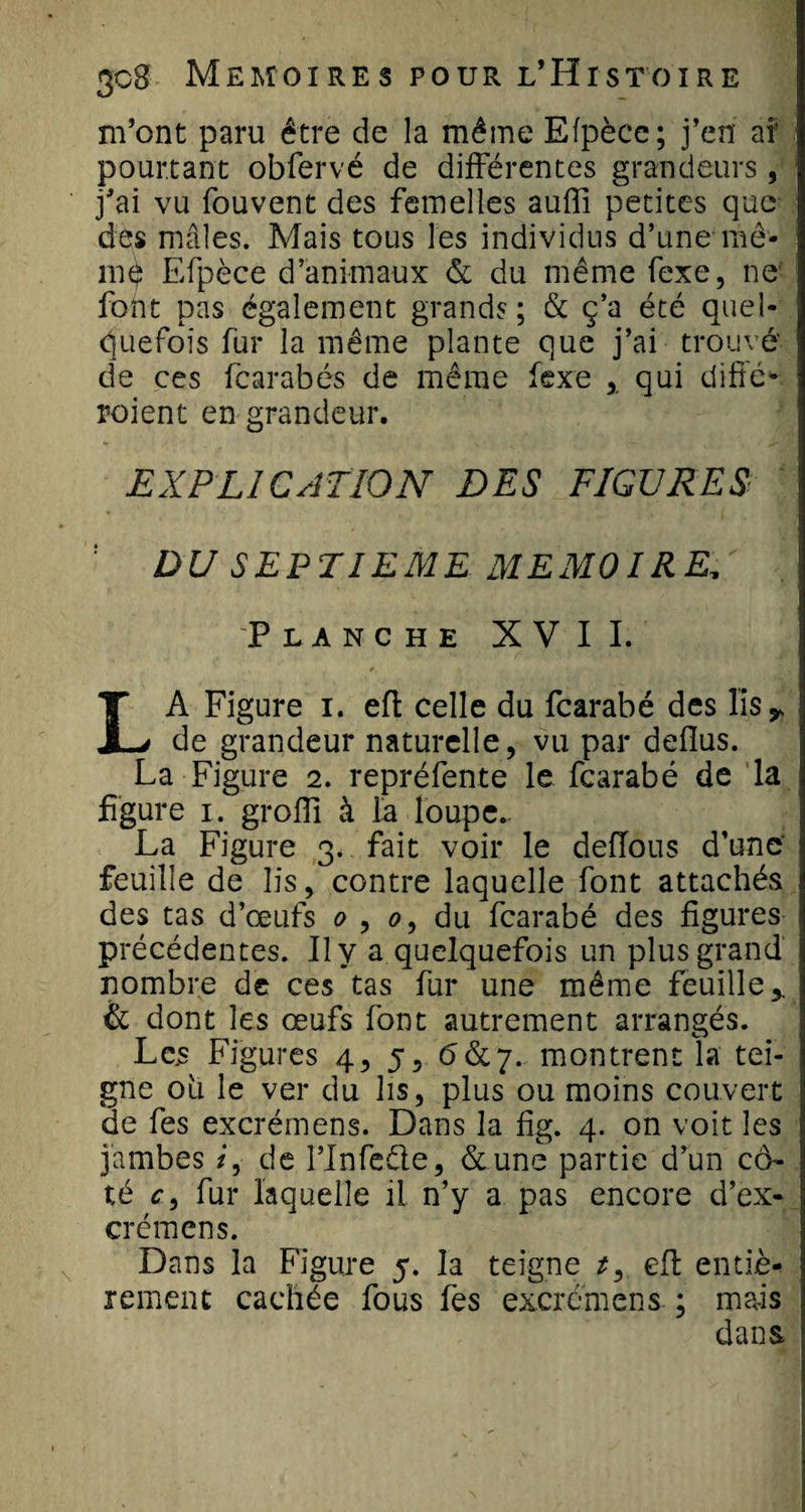 m’ont paru être de la même Efpèce; j’en aî pourtant obfervé de différentes grandeurs, j’ai vu fouvent des femelles auffi petites que des mâles. Mais tous les individus d’une me* mà Efpèce d’animaux &amp; du même fexe, ne font pas également grands ; &amp; ç’a été quel¬ quefois fur la même plante que j’ai trouvé' de ces fcarabés de même fexe qui difté^ roient en grandeur. EXPLICATION DES FIGURES ; DU SEPTIEME MEMOIRE. Planche XVII. LA Figure i. efl celle du fcarabé des Iis ^ de grandeur naturelle, vu par deflus. La Figure 2. repréfente le fcarabé de la figure 1. groffi à la loupe.- La Figure 3. fait voir le deflous d’une' feuille de lis, contre laquelle font attachés des tas d’œufs 0 , &lt;?, du fcarabé des figures précédentes. Il y a quelquefois un plus grand nombre de ces tas fur une même feuille,. &amp; dont les œufs font autrement arrangés. Les Figures 4, 5, (5&amp;7. montrent la tei¬ gne où le ver du lis, plus ou moins couvert de fes excrémens. Dans la fig. 4. on voit les jambes /, de l’Infede, &amp;une partie d’un cô¬ té c, fur laquelle il n’y a pas encore d’ex- crémens. Dans la Figure 5. la teigne t, efi: entiè¬ rement cachée fous fes excrémens ; mais dans