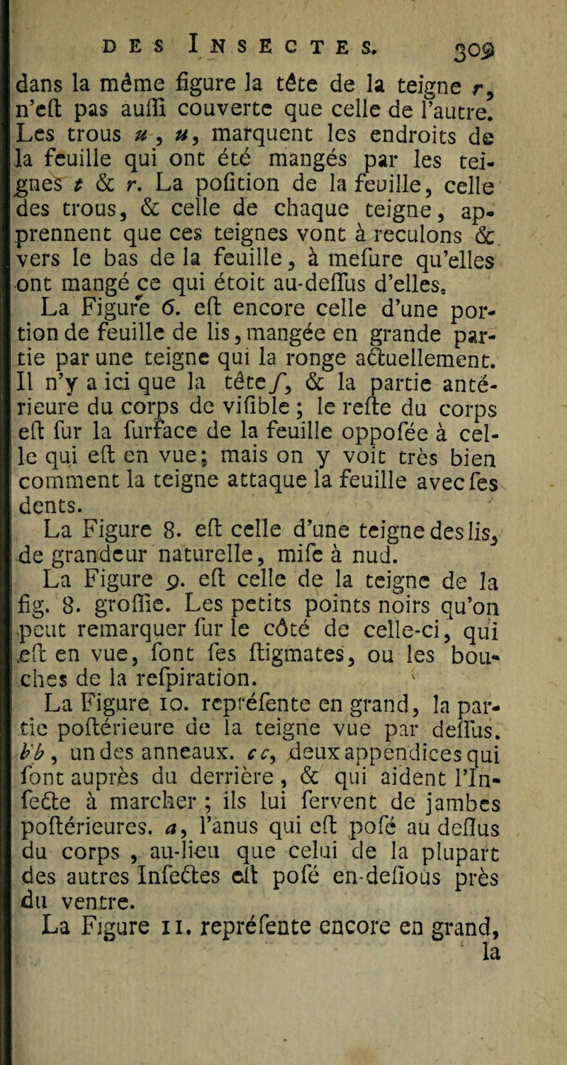 dans la même figure la tête de la teigne r, n’eft pas aufli couverte que celle de l’autre. Les trous u , a, marquent les endroits de la feuille qui ont été mangés par les tei¬ gnes * &amp; r. La pofition de la feuille, celle des trous, &amp; celle de chaque teigne, ap¬ prennent que ces teignes vont à reculons &amp; vers le bas de la feuille, à mefure qu’elles ont mangé ce qui étoit au-deftus d’elles, La Figure 6. eft encore celle d’une por¬ tion de feuille de lis, mangée en grande par¬ tie par une teigne qui la ronge actuellement. Il n’y a ici que la tête/, &amp; la partie anté¬ rieure du corps de vifible ; le relie du corps eft fur la furrace de la feuille oppofée à cel¬ le qui eft en vue; mais on y voit très bien comment la teigne attaque la feuille avecfes dents. La Figure 8. eft celle d’une teigne des Iis3 de grandeur naturelle, mife à nud. La Figure 9. eft celle de la teigne de la fig. 8. groflle. Les petits points noirs qu’on peut remarquer fur le côté de celle-ci, qui ceft en vue, font fes ftigmates, ou les bou¬ ches de la refpiration. La Figure 10. repréfente en grand, la par¬ tie poftérieure de la teigne vue par deftus. b'b , un des anneaux, cc9 deux appendices qui font auprès du derrière, &amp; qui aident l’In- feète à marcher ; ils lui fervent de jambes poftérieures. a, l’anus qui eft pofé au deftus du corps , au-lieu que celui de la plupart des autres InfeCtes eft pofé en-defîoùs près du ventre. La Figure 11. repréfente encore en grand,