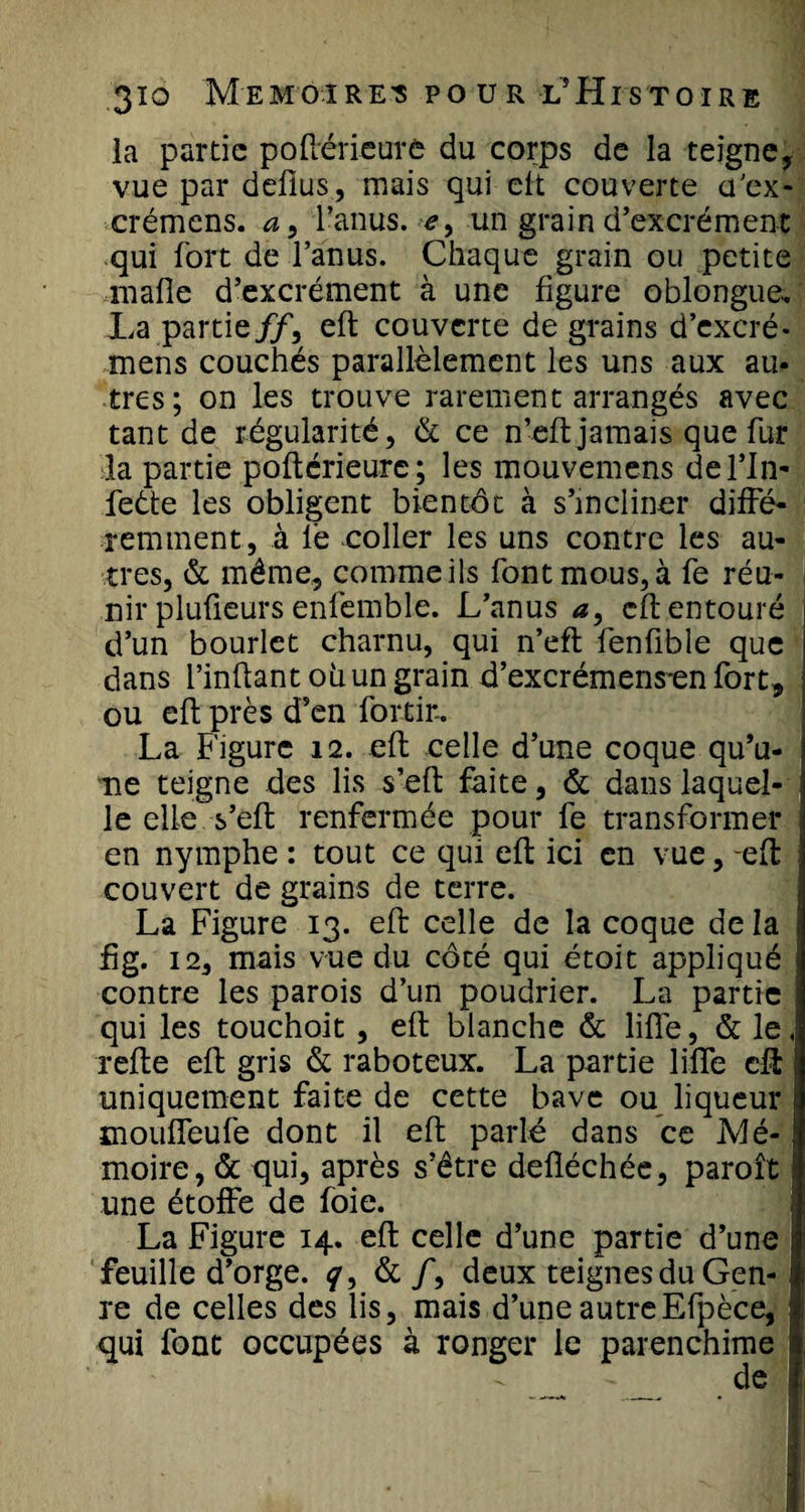la partie poflérieurô du corps de la teigne, vue par defius, mais qui elt couverte ü'ex- crémens. l’anus. &lt;?, un grain d’excrément qui fort de l’anus. Chaque grain ou petite malle d’excrément à une ligure oblongue. La partie ff, elt couverte de grains d’excré* mens couchés parallèlement les uns aux au- très; on les trouve rarement arrangés avec tant de régularité, &amp; ce n’eft jamais que fur la partie poltérieure; les mouvemens de l’In- feéte les obligent bientôt à s’incliner diffé¬ remment, à le coller les uns contre les au¬ tres, &amp; même,, comme ils font mous, à fe réu¬ nir plulieurs enfemble. L’anus a, elt entouré d’un bourlet charnu, qui n’eft fenfible que dans l’inftant oh un grain d’excrémens*en fort, ou elt près d’en for tir. La Figure 12. elt celle d’une coque qu’u¬ ne teigne des lis s’elt faite, &amp; dans laquel¬ le ellec s’elt renfermée pour fe transformer en nymphe : tout ce qui elt ici en vue, elt couvert de grains de terre. La Figure 13. elt celle de la coque delà fig. 12, mais vue du côté qui étoit appliqué contre les parois d’un poudrier. La partie qui les touchoit, elt blanche &amp; lilfe, &amp; le, relte elt gris &amp; raboteux. La partie lilfe eft uniquement faite de cette bave ou liqueur moulfeufe dont il elt parlé dans ce Mé¬ moire, &amp; qui, après s’être delléchée, paroît une étoffe de foie. La Figure 14. elt celle d’une partie d’une feuille d’orge, y, &amp; /, deux teignes du Gen¬ re de celles des lis, mais d’une autreEfpèce, qui font occupées à ronger le parenchime de ■