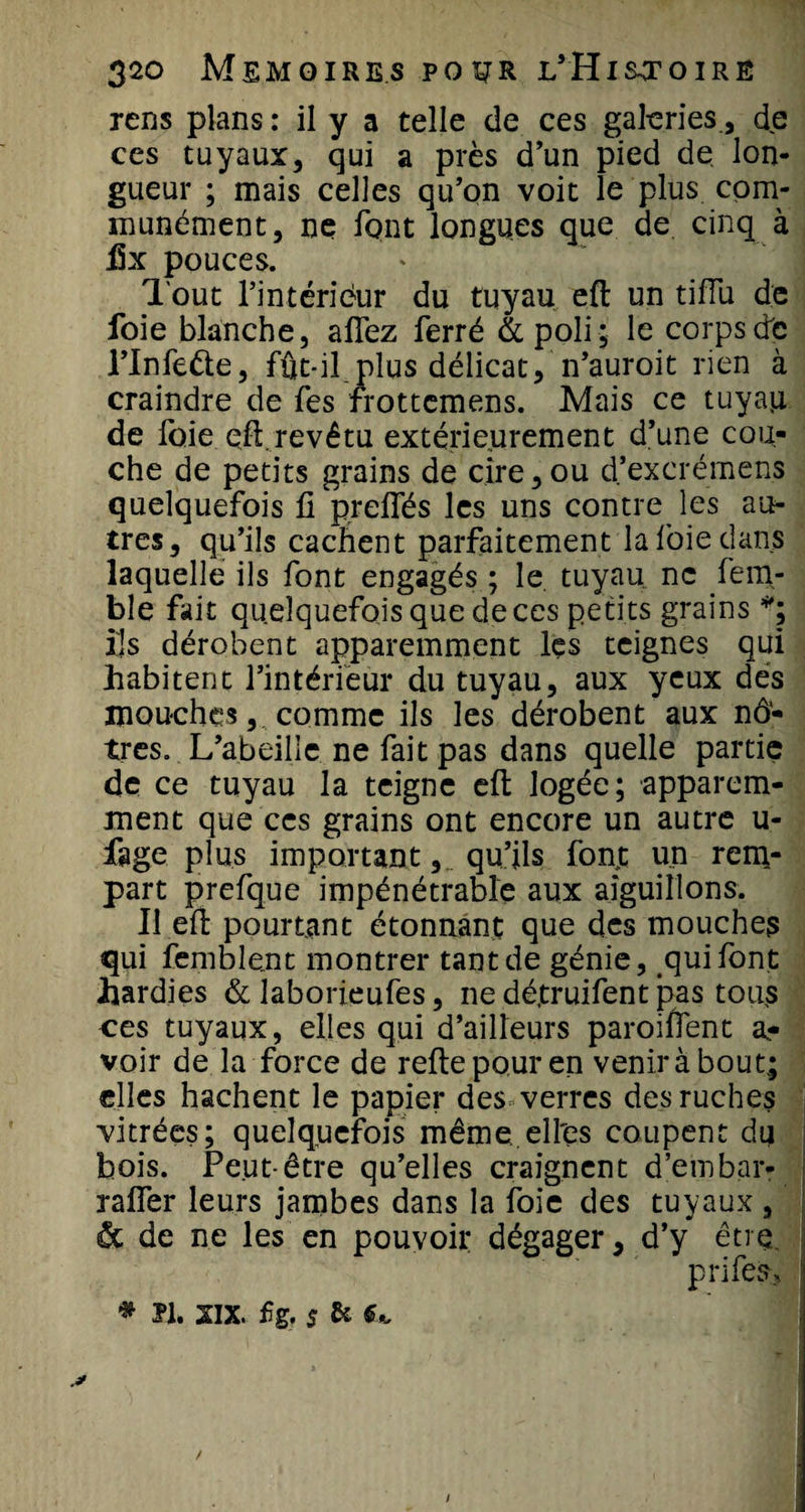 rens plans : il y a telle de ces gâteries., de ces tuyaux, qui a près d’un pied de lon¬ gueur ; mais celles qu’on voit le plus com¬ munément, ne font longues que de cinq à fix pouces. Tout l’intérieur du tuyau eft un tiffu de foie blanche, allez ferré &amp; poli , le corps de l’Infede, fût-il plus délicat, n’auroit rien à craindre de fes frottemens. Mais ce tuyau de foie eft revêtu extérieurement d’une cou¬ che de petits grains de cire,ou d’excrémens quelquefois fi preflfés les uns contre les au¬ tres, qu’ils cachent parfaitement la foie dans laquelle ils font engagés ; le. tuyau ne fem- ble fait quelquefois que de ces petits grains *; ils dérobent apparemment les teignes qui habitent l’intérieur du tuyau, aux yeux des mouches, comme ils les dérobent aux nô¬ tres. L’abeille ne fait pas dans quelle partie de ce tuyau la teigne eft logée; apparem¬ ment que ces grains ont encore un autre u- fage plus important, qu’ils fonjt un rem¬ part prefque impénétrable aux aiguillons. Il eft pourtant étonnant que des mouches qui femblent montrer tant de génie, qui font hardies &amp; laborieufes, ne dé.truifent pas tous ces tuyaux, elles qui d’ailleurs paroilfent a- voir de la force de reftepouren veniràbout; elles hachent le papier des verres des ruches vitrées; quelquefois même, ell'es coupent du bois. Peut-être qu’elles craignent d’embar- rafler leurs jambes dans la foie des tuyaux , ôc de ne les en pouvoir dégager, d’y être. prifes.