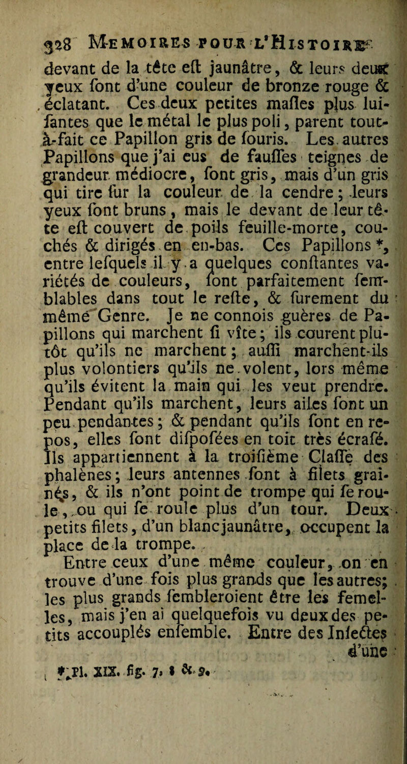 devant de la tête eft jaunâtre, &amp; leurs deu&amp; yeux font d’une couleur de bronze rouge &amp; . éclatant. Ces deux petites malles plus lui- fantes que le métal le plus poli, parent tout- à-fait ce Papillon gris de fouris. Les. autres Papillons que j’ai eus de faufîes teignes de grandeur, médiocre, font gris, mais d’un gris qui tire fur la couleur, de la cendre; leurs yeux font bruns , mais le devant de leur tê.« te eft couvert de poils feuille-morte, cou¬ chés &amp; dirigés en en-bas. Ces Papillons *, entre lefquels il y a quelques confiantes va¬ riétés de couleurs, font parfaitement fenr- blables dans tout le refte, &amp; furement du ; même Genre. Je ne connois guères de Pa¬ pillons qui marchent fi vite ; ils courent plu¬ tôt qu’ils ne marchent ; aufii marchent-ils plus volontiers qu’ils ne.volent, lors même qu’ils évitent la main qui les veut prendre. Pendant qu’ils marchent , leurs ailes font un peu pendantes ; &amp; pendant qu’ils font en re¬ pos, elles font difpofées en toit très écrafé. Ils appartiennent à la troifième Ciafle des phalènes ; leurs antennes font à filets grai¬ nes, &amp; ils n’ont point de trompe qui fe rou¬ le,,ou qui fe roule plus d’un tour. Deux* petits filets, d’un blanc jaunâtre, occupent la place delà trompe. Entre ceux d’une même couleur, on en trouve d’une fois plus grands que les autres; . les plus grands fcmbleroient être les femel¬ les, mais j’en ai quelquefois vu deux des pe¬ tits accouplés enfemble. Entre des Infettes é’une t f'Jl XIX. fi g. 7» » &amp; ^