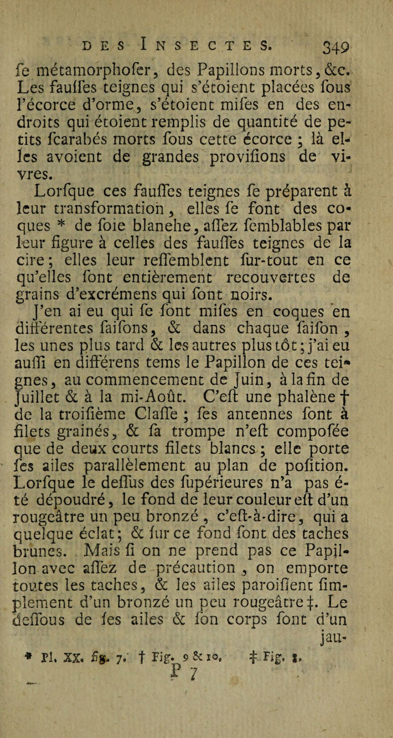 fe métamorphofer, des Papillons morts,&amp;c. Les faulfes teignes qui s’étoient placées fous l’écorce d’orme, s’étoient mifes en des en¬ droits qui étoient remplis de quantité de pe¬ tits fcarahés morts fous cette écorce ; là el¬ les avoient de grandes provifions de vi¬ vres. Lorfque ces fauffes teignes fe préparent à leur transformation, elles fe font des co¬ ques * de foie blanehe, affez femblables par leur figure à celles des faulfes teignes de la cire ; elles leur reffemblent fur-tout en ce qu’elles font entièrement recouvertes de grains d’excrémens qui font noirs. J’en ai eu qui fe font mifes en coques en différentes faifons, &amp; dans chaque faifon , les unes plus tard &amp; les autres plus tôt; j’ai eu auffi en différens tems le Papillon de ces tei¬ gnes, au commencement de Juin, à la fin de juillet &amp; à la mi-Août. C’eft une phalène f de la troifième Gaffe ; fes antennes font à filets grainés, &amp; fa trompe n’eft compofée que de deux courts filets blancs ; elle porte fes ailes parallèlement au plan de pofition. Lorfque le deffus des fupérieures n’a pas é- té dépoudré, le fond de leur couleur eft d’un rougeâtre un peu bronzé , c’eft-à-dire, qui a quelque éclat; &amp; fur ce fond font des taches brunes. Mais fi on ne prend pas ce Papil¬ lon avec affez de précaution , on emporte toutes les taches, &amp; les ailes parodient Am¬ plement d’un bronzé un peu rougeâtre J. Le deffous de fes ailes &amp; fon corps font d’un jau- * Pl. XX. 5g. 7.' t Fig- 9 &amp; 10, P 7 t S.