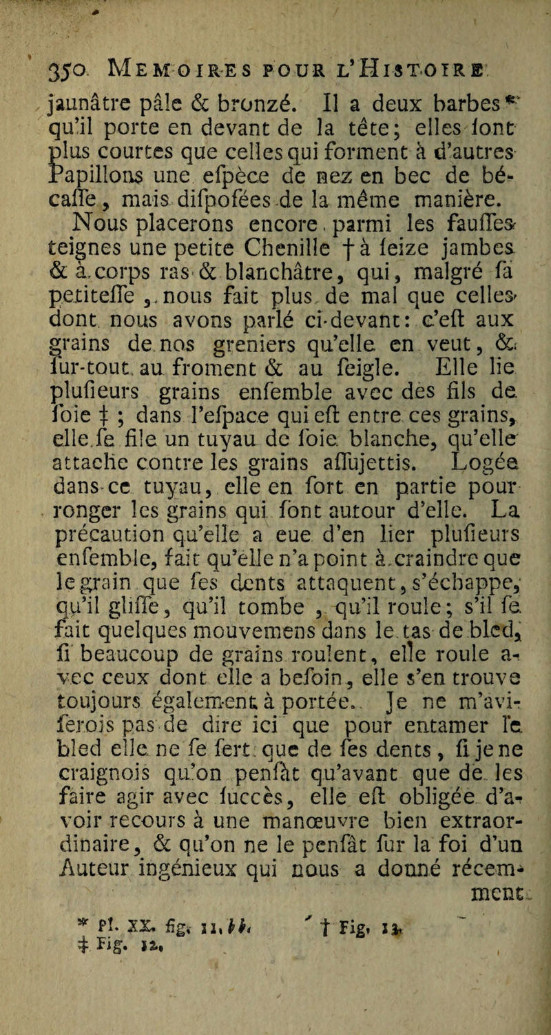 jaunâtre pâle &amp; bronzé. Il a deux barbes*' qu’il porte en devant de la tête; elles font plus courtes que celles qui forment à d’autres Papillons une efpèce de nez en bec de bé- caffe, mais difpofées de la même manière. Nous placerons encore, parmi les faufles- teignes une petite Chenille fà leize jambes &amp; à.corps ras &amp; blanchâtre, qui, malgré fa pexitefle nous fait plus de mal que celles dont nous avons parlé ci-devant: c’eft aux grains de.nos greniers qu’elle en veut, &amp; lur-tout au froment &amp; au feigle. Elle lie plufieurs grains enfemble avec des fils de. foie \ ; dans l’efpace qui eh; entre ces grains, elle.le file un tuyau de foie, blanche, qu’elle attache contre les grains affujettis. Logée dans-ce tuyau, elle en fort en partie pour ronger les grains qui font autour d’elle. La précaution qu’elle a eue d’en lier plufieurs enfemble, fait qu’elle n’a point à,craindre que le grain que fes dents attaquent, s’échappe, qu’il gliffe, qu’il tombe , qu’il roule; s’il fe. fait quelques mouvemens dans le.tas de bled, li beaucoup de grains roulent, elle roule a- vec ceux dont elle a befoin, elle s’en trouve toujours égalem-ena à portée, Je ne m’avi- ferois pas de dire ici que pour entamer le bled elle, ne fe fert que de les dents, fi je ne craignois qu’on penfàt qu’avant que de les faire agir avec fuccès, elle eh; obligée d’a^ voir recours à une manœuvre bien extraor¬ dinaire, &amp; qu’on ne le penfât fur la foi d’un Auteur ingénieux qui nous a donné récem¬ ment * Pî- XX, ûgi lubhi ' t Fig. IJ. $ Fig. la.