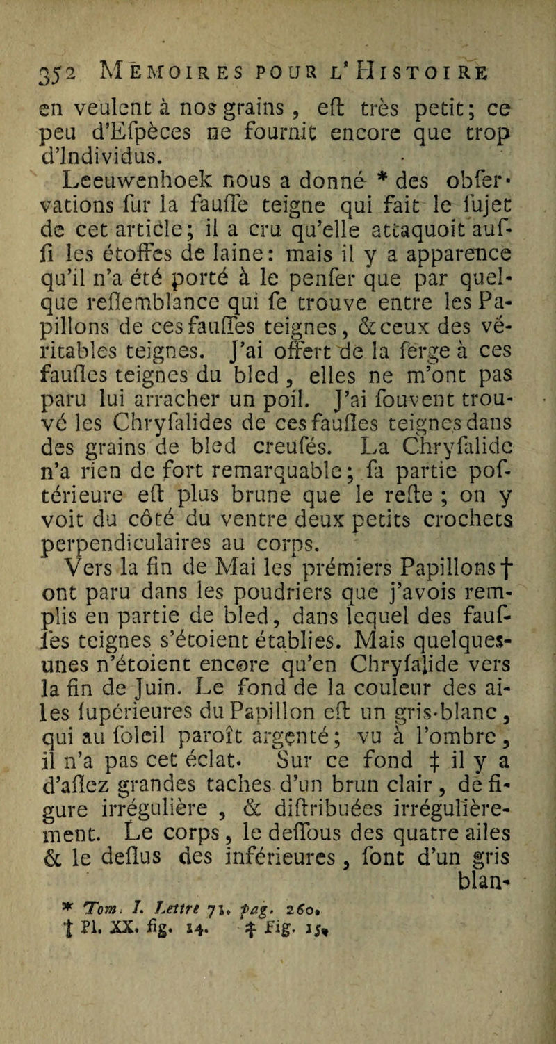 en veulent à no?grains , eft très petit; ce peu d’Efpèces ne fournit encore que trop d’individus. Leetiwenhoek nous a donné * des obfer* vations fur la fauffe teigne qui fait le fujet de cet article; il a cru qu’elle attaquoit auf- fi les étoffes de laine: mais il y a apparence qu’il n’a été porté à le penfer que par quel¬ que reflemblance qui fe trouve entre les Pa¬ pillons de ces faillies teignes, &amp;ceux des vé¬ ritables teignes. J’ai offert dé la ferge à ces fauües teignes du bled , elles ne m’ont pas paru lui arracher un poil. J’ai fouvent trou¬ vé les Chryfalides de cesfaulles teignes dans des grains de bled creufés. La Chryfalide n’a rien de fort remarquable ; fa partie pof- térieure eft plus brune que le refte ; on y voit du côté du ventre deux petits crochets perpendiculaires au corps. Vers la fin de Mai les prémiers Papillons f ont paru dans les poudriers que j’avois rem¬ plis en partie de bled, dans lequel des faufi¬ lés teignes s’étoient établies. Mais quelques- unes n’étoient encore qu’en Chryfalide vers la fin de Juin. Le fond de la couleur des ai¬ les fupcrieures du Papillon eft un gris-blanc, qui au folcil paroît argçnté; vu à l’ombre, il n’a pas cet éclat. Sur ce fond ^ il y a d’aflez grandes taches d’un brun clair , de fi¬ gure irrégulière , &amp; diftribuées irrégulière¬ ment. Le corps, le defious des quatre ailes &amp; le deflus des inférieures, font d’un gris blan- * Tom. I. Lettre 71, fag. 260» 'f PI. XX. fig. 14. % fig. 15,