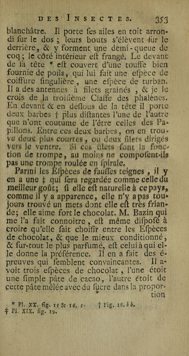 blanchâtre. Il porte Tes ailes en toit arron¬ di llir le dos ; leurs bouts s’élèvent fur le derrière, &amp; y forment une demi-queue de coq ; le côté intérieur elt frangé. Le devant de fa tête * elt couvert d’une touffe bien fournie de poils, qui lui fait une elpèce de coiffure fingulière , une cfpêce de turban. Il a des antennes à filets graines , &amp; je le crois de la troifième Claire des phalènes. En devant &amp; en deflous de la tête il porte deux barbes f plus disantes l’une de l’autre que n’ont coutume de l’être celles des Pa¬ pillons. Entre ces deux barbes, on en trou» vë deux plus munm 9 ou deux filets dirigés vm le vemfg, $\ cm t fHet§ fmn k tion de trompe, au moins ne eompofent-ils pas une trompe roulée en fpirale. Parmi les Efpèces de fauffes teignes , il y en a une \ qui fera regardée comme celle du meilleur goût; fl elle eff naturelle à ce pays, comme il y a apparence, elle n’y a pas tou¬ jours trouvé un mets dont elle eft très frian¬ de; elle aime fort le chocolat. M. Bazin qui me l’a fait connoitre , elt même difpofé à croire qu’elle fait choifir entre les Efpèces de chocolat, &amp; que le mieux conditionné, &amp; fur-tout le plus parfumé, eft celui à qui el¬ le donne la préférence. Il en a fait des é- preuves qui fembîent convaincantes. Il a- voit trois efpèces de chocolat , l’une étoit une Ample pâte de cacao, l’autre étoit de cette pâte mêlée avec du lucre dans la propor- * tion * PI» XX. fîg. 15 Si ï &lt;5. £• f Fig. 16, b b.