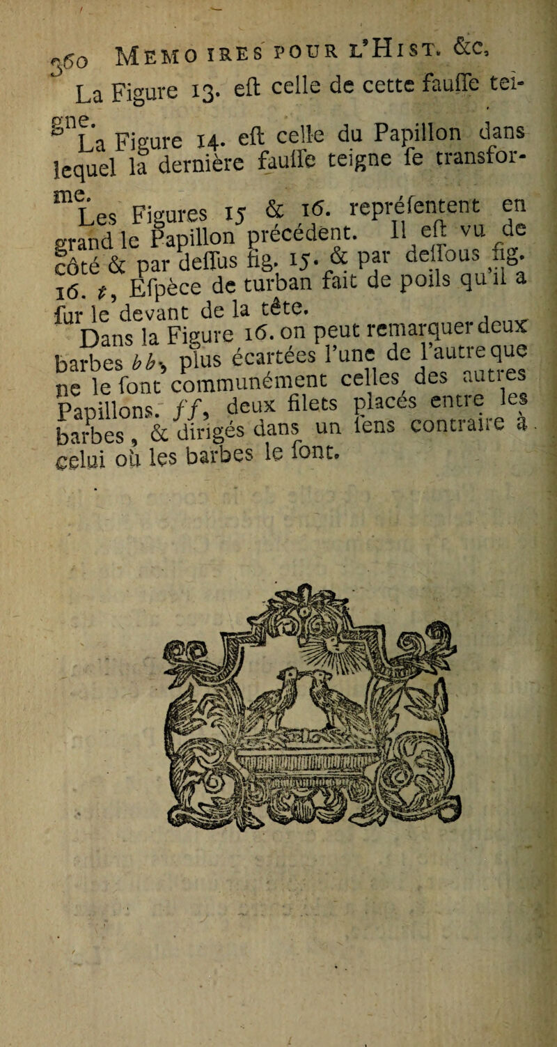 <50 Mémo ires pour i/Hist» &c, L a Figure 13. eft celle de cette faillie tel- 0 u Figure 14* cft celle du Papillon dans lequel la dernière faulLe teigne fe transfor- Ficrnres i<r & itf. rcpréfentent en grLd lc Klion5précédent. 11 eft vu de côté & par ueflbs fig. 15. & par deffous -fig. 16. f, Efpèce de turban fait de poils quil a fur le devant de la tête. . Dans la Figure 16. on peut remarquer deux barbe VL plus écartées l’une de l’autre que ne le font communément celles, des autres Papillons, ff, deux filets places entre les barbes, & dirigés dans un lens Contrane a. celui ou les barbes le font.