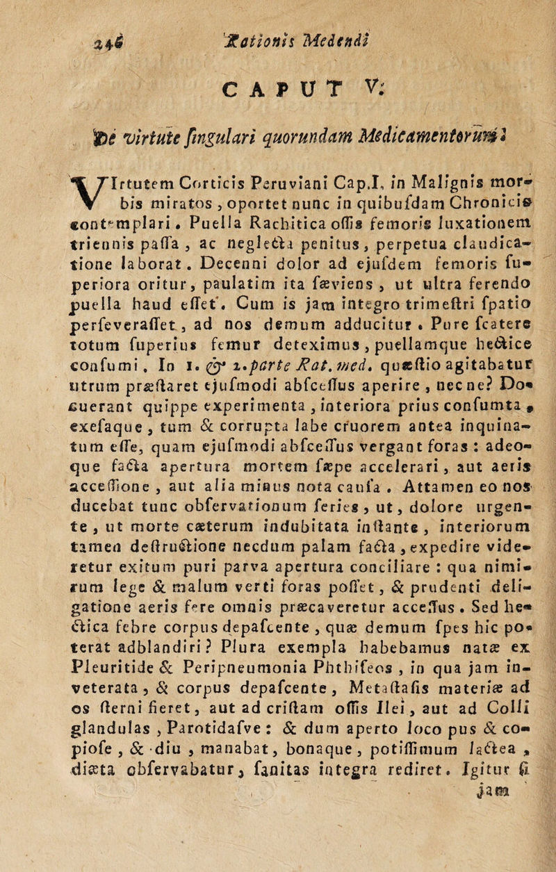 CAPUT V: virtute fingulari quorundam Medicamentorum i Virtutem Corticis Peruviani Cap.I, in Malignis mor¬ bis miratos , oportet nunc in quibufdam Chronici» contemplari* Puella Rachitica ollis femoris luxationem triennis pafla , ac negletVi penitus, perpetua claudica¬ tione laborat. Decenni dolor ad ejtifdem femoris fu- periora oritur, paulatim ita fseviens , ut ultra ferendo puella haud effet. Cum is jam integro trimeftri fpatio perfeveraflet, ad nos demum adducitur • Pure fcatere totum fuperius femur deteximus , puellamque he&amp;ice confumi. In i. &amp; 2.parte fiat, wed. quaeftio agitabatur utrum proflaret tjufmodi abfcellus aperire , necne? Do* suerant quippe experimenta 5 interiora prius confumta , exefaque, tum &amp; corrupta labe cruorem antea inquina¬ tura e(Te, quam cjufmodi abfceiTus vergant foras : adeo- que fa&amp;a apertura mortem fffipe accelerari, aut aeris accetTione , aut alia minus nota caufa . Attamen eo nos ducebat tunc obferv&amp;donum feries, ut, dolore urgen¬ te, ut morte caeterum indubitata inflante, interiorum tamen deftru&amp;ione necdum palam fa£la, expedire vide¬ retur exitum puri parva apertura conciliare : qua nimi¬ rum lege &amp; malum verti foras pollet 3 &amp; prudenti deli- gatione aeris fere omnis praecaveretur acce.Tus . Sed he* «flica febre corpus depafcente , quae demum fpes hic po« terat adblandiri ? Plura exempla habebamus natae ex Pleuritide &amp; Peripneumonia Phthifeos , in qua jam in¬ veterata , &amp; corpus depafcente, Metaflafis materiae ad os Herni fieret, aut ad criflam ollis Ilei, aut ad Colli glandulas , Parotidafve : &amp; dum aperto loco pus &amp; co- piofe , &amp; diu , manabat, bonaque, potiflimum Ja&amp;ea , di&amp;ta obfervabator3 fanitas integra rediret. Igitur &amp; jam