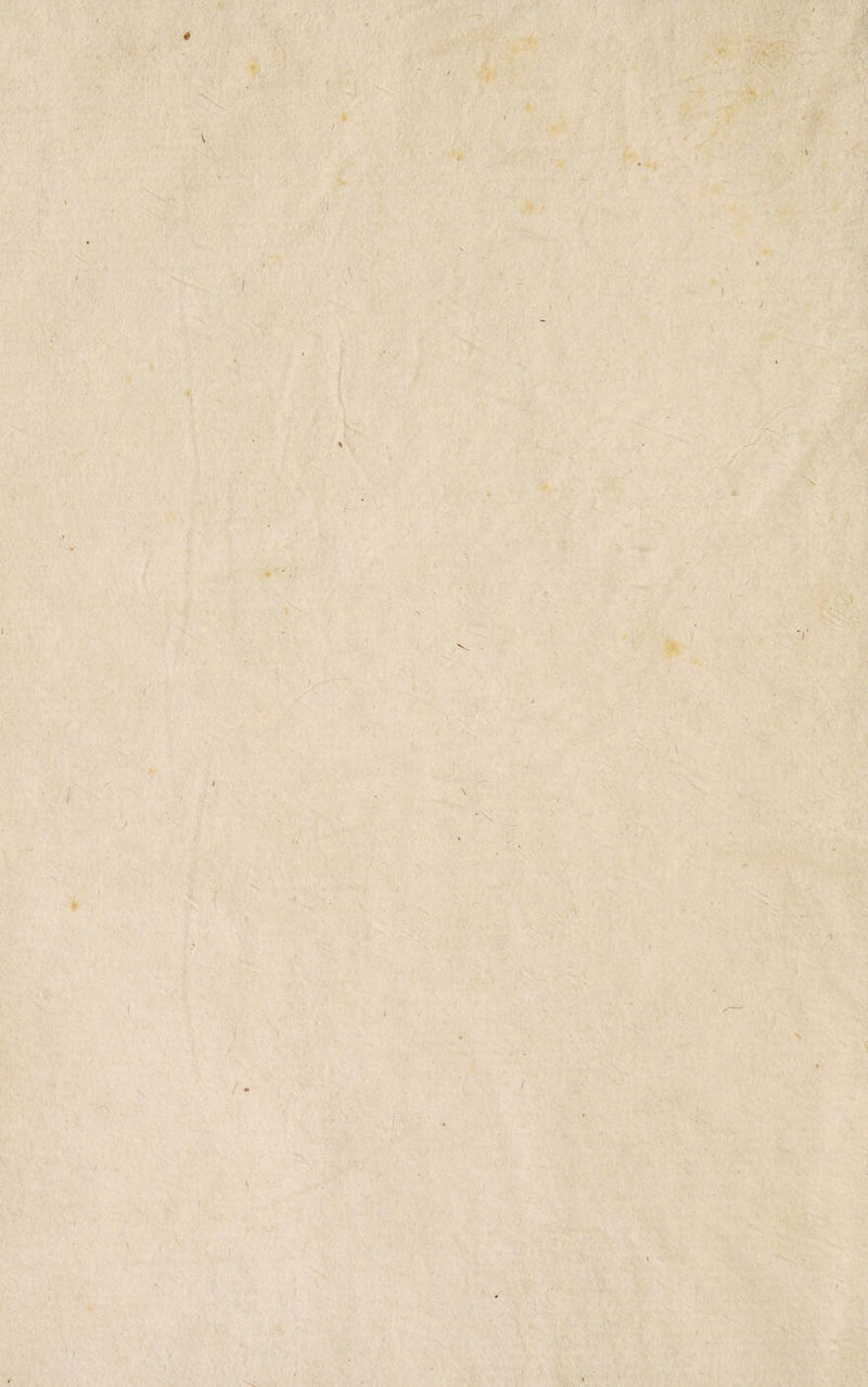 I * I f \ -— • ( y’* , * * 1 / \ ..