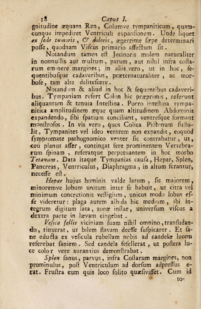 iS Caput L gnitudine aequans Ren, Columve tympaniticam, quara- cunaue impediret Ventriculi expanfionem. Unde liquet ex fede tumoris , & doloris, aegerrime firpe determinari polle, quodnam Vifcus primario affeflum fit. Notandum tamen eft Jecinoris molem naturaliter in nonnufiis aut multum, parum, aut nihil infra colla¬ rum eminere margines; in aliis vero, ut in hoc, fe- quentibufque cadaveribus, praeternaturaliter , ac mor- bofe, tam alte delitefcere. Notandam & aliud in hoc & fequentibus cadaveri* bus. Tympaniam refert Colon hic praeprirms, referunt aliquantum & tenuia Intefiina . Porro inteftina tympa¬ nitica amplitudinem seque quam altitudinem Abdominis expandendo, libi fpatium conciliant, ventrefque formant tnonfirofos . In vis vero , quos Colica Pi&enum fu Au-- Jit, Tympanites vel ideo ventrem non expandit, eoquod fyrpptomate pathognomico venter fic contrahatur, ut, ceu planus affer, contingat fere prominentem Vertebra¬ rum fpinam , referatque perpetuantem in hoc morbo Tetanum. Data itaque Tympanias caufa, Hepar, Splen, Pancreas, Ventriculus, Diaphragma, in altum ferantur, neceffe efl. Hepar hujus hominis valde latum , fic majorem, minoremve lobum unitum inter fe habuit, ut citra vel minimum concretionis velligium, unicus modo lobus ef- fe videretur: plaga autem albida hic medium, ibi in¬ tegrum digitum lata, zona? infiar, univerfum vifcus a dextra parte in laevam cingebat . Vefica fellis viciniam fuam nihil omnino ,tranfudan- do> tinxerat, ut bilem flavam deeffe fufpicarer . Et fa- ne edu&a ex veficula rubellam nobis ad candelae lucem referebat faniem . Sed candela fefellerat , ut poflera lu¬ ce color vere aurantius demonftrabat. Splen fanus, parvus, infra Coflarum margines, non prominulus, poft Ventriculum ad dorfum adpreflus e- rat. Fruftra eum quis loco folito qusefiviffet. Cum id to-