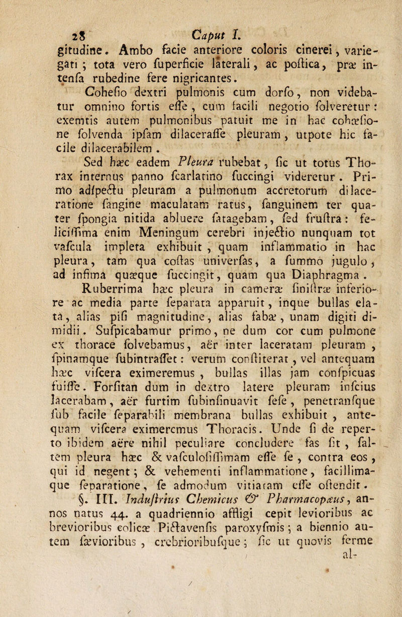 gitudine. Ambo facie anteriore coloris cinerei, varie¬ gati ; tota vero fuperficie laterali, ac podica, pra in- tenfa rubedine fere nigricantes. Cohefio dextri pulmonis cum dorfo, non videba¬ tur omnino fortis ede , cum facili negotio folveretur t exemtis autem pulmonibus patuit me in hac cohafio- ne folvenda ipfam dilacerafie pleuram , utpote hic fa¬ cile dilacerabilem . Sed hac eadem Pleura rubebat, fic ut totus Tho¬ rax internus panno fcarlatino fuccingi videretur. Pri¬ mo ad/peflu pleuram a pulmonum accretorum dilace¬ ratione fangine maculatam ratus, fanguinem ter qua¬ ter fpongia nitida abluere fatagebam, fsd fruftra: fe- licidima enim Meningum cerebri injeflio nunquam tot vafcula impleta exhibuit , quam inflammatio in hac pleura, tam qua codas univerfas, a fummo jugulo, ad infima quaeque fuccingit, quam qua Diaphragma. Ruberrima hac pleura in camera* finidra inferio¬ re ac media parte feparata apparuit, inque bullas ela¬ ta, alias pifi magnitudine, alias faba , unam digiti di¬ midii. Sufpicabamur primo, ne dum cor cum pulmone ex thorace folvebamus, aer inter laceratam pleuram , fpinamque fubintraflet: verum conditerat , vel antequam hac vifcera eximeremus , bullas illas jam confpicuas fuifle. Forfitan dum in dextro latere pleuram infcius lacerabam, aer furtim fubinfinuavit fefe , penetranfque fub facile feparahili membrana bullas exhibuit , ante¬ quam vifcera eximeremus Thoracis. Unde fi de reper¬ to ibidem aere nihil peculiare concludere fas fit , fal- tem pleura hac & vafculofitfimam ede fe , contra eos , qui id negent; & vehementi inflammatione, faci 11 ima- que feparatione, fe admodum vitiaram ede odendit. §. III. Tnduftrius Cbemtcus & Pharmacopaus, an¬ nos natus 44. a quadriennio affligi cepit levioribus ac brevioribus colica Piflavenfis paroxyfmis; a biennio au¬ tem favioribus , crebrioribufque; fic ut quovis ferme / al- /