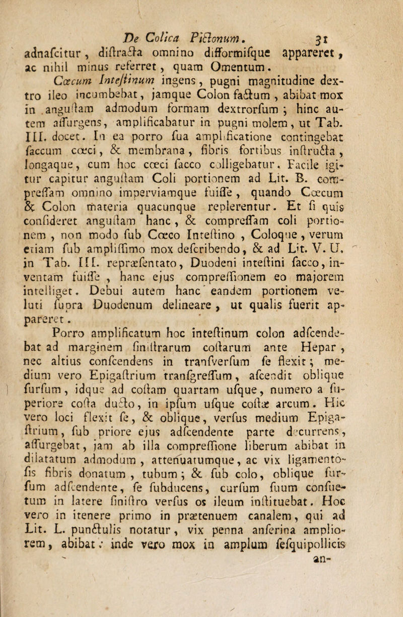 adnafcitur, diflraffa omnino difformifque appareret > ac nihil minus referret, quam Omentum. Coccum Intejiinum ingens, pugni magnitudine dex¬ tro ileo incumbebat, jamque Colon fa&um , abibat mox in angudam admodum formam dextrorfum ; hinc au¬ tem adurgens, amplificabatur in pugni molem , ut Tab. JII. docet. In ea porro fua amplificatione contingebat faecum coeci, & membrana , fibris fortibus inftrudla , longaque, cum hoc coeci facco colligebatur. Facile igi¬ tur capitur angudam Coli portionem ad Lit. B. com- preffam omnino imperviamque fuifle , quando Caecum & Colon materia quacunque replerentur. Et fi quis confideret angudam hanc, & compreflam coli portio¬ nem , non modo fu b C oeco Inteftino , Coloque, verum etiam fub ampliflimo mox deferibendo, & ad L’t. V. U, jn Tab. III. repraefentato, Duodeni inteflini facco, in¬ ventam fuifle , hanc ejus compreffionem eo majorem intelliget. Debui autem hanc'eandem portionem ve- luti fu ora Duodenum delineare , ut qualis fuerit ap¬ pareret . Porro amplificatum hoc inteflinum colon adfcende- bat ad marginem fimltrarum collarum ante Hepar , nec altius confcendens in tranfverfum fe flexit; me¬ dium vero Epigaflrium tranfgreflum, afeendit oblique furfum, idque ad cofiam quartam ufque, numero a fu- perior-e coda dufflo, in ipfum ufque cofiae arcum. Hic vero loci flexit fe, & oblique, verfus medium Epiga¬ flrium, fub priore ejus adfcendente parte decurrens, adurgebat, jam ab illa comprefflone liberum abibat in dilatatum admodum, atterfuatumque, ac vix ligamento- fis fibris donatum, tubum; & fub colo, oblique fur¬ fum adfcendente, fe fubducens, curfum flium confue- tum in latere finiflro verfus os ileum inflituebat. Hoc vero in itenere primo in praetenuem canalem, qui ad Lit. L. punftulis notatur, vix penna anferina amplio¬ rem , abibat; inde vero mox in amplum fefquipollicis an-