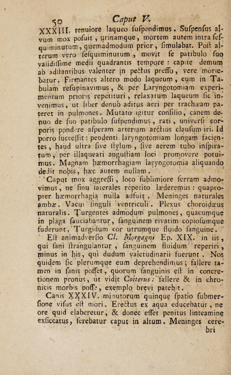 Caput Vf XXXIII* tenuiore laqueo fufpendimus. Sufpenfus af- vum mox pofuit , urinamque, mortem autem intra fef- quiminutum ? quemadmodum pricr, flmulabat. Poft al¬ terum vero fefquiminutum 5 movjt le patibulo fuo yaiidiflime medii quadrantis tempore : capite demum ab 'aditantibus valenter in pectus p reflo, vere mone¬ batur. Firmantes altero modo laqueum, eum in Ta¬ bulam refupinavimus , &amp; per Laryngotomiam experi¬ mentum prioris repetituri , relaxatum laqueum fle in¬ venimus, ut liber denuo aditus aeri per tracheam pa¬ teret in pulmones. Mutato igitur confli io, canem de¬ nuo de fuo patibulo fufpendimus, rati, univcrfl cor¬ poris pondere afperatn arteriam aritius claufum iri. Id porro iuccefflt: pendenti laryngotomiam longam facien¬ tes , haud ultra flve ll^lum, flve aerem tubo infpira- fum, per illaqueati angufliam loci promovere potui¬ mus. Magnam haemorrhagiam laryngotomia aliquando dedit nobis, fl&amp;c autem nullam. ' Caput mox aggrefli, loco fublimiore fcrram admo¬ vimus \ ne finu laterales repetito laedereipus : quapro¬ pter haemorrhagia milia adfuit c Meninges naturales ambae. Vacui 'Anguli 'ventriculi . Plexus choroideus naturalis. Turgentes admodum pulmones, quacumque in plaga fauciabantur, fangiflnem rivatim copiofumque fuderunt. Turgidum cor utrumque fluido fanguine. Eft animadverfio C/. Morgagni Ep. XIX. in iis, qui fani Aranguiantuy , fanguinem fluidum' reperiri , pninus in his, qui dudum valetudinarii fuerunt . Nos quidem fle plerumque eum deprehendirnus; fallere ta¬ men in fanis poffet,’quorum Tanguinis eft in concre¬ tionem pronus, ut vidit Coiterus: Tallere &amp; in chro¬ nicis morbis poflb, exemplo brevi patebjt, Canis XXXIV. minutorum quinque fpatio fubmer- flone vifus eft mori. Ere&amp;us ex aqua educebatur , ne ore quid ejaberetur, &amp; donec eflet penitus linteamine exflccatus, ferebatur caput in altum. Meninges cere- •s’.  ' . bri V • » ~ ,