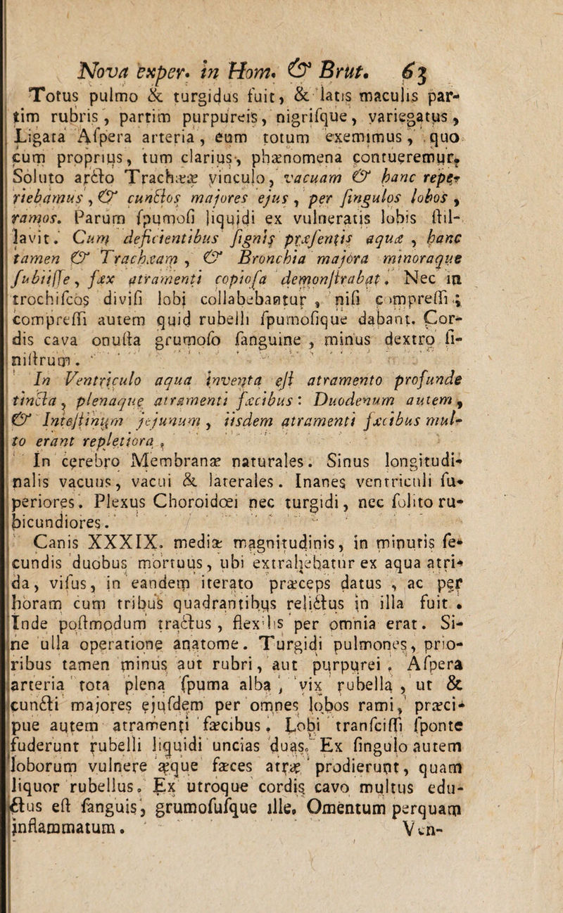 Totus pulmo &amp; turgidus fuit9 &amp; latis maculis par- tim rubris, partim purpureis, nigrifque, variegatus, Ligata JVfpera arteria, eum totum exemimus, quo cum proprius, tum clarius-, phaenomena contueremur. Soluto ajrbdo Trachea? vinculo, vacuam &amp; hanc repe* nebamus , 0* cunSlos majores ejus , per fingulos lobos , ramos. Parum fpumofi liquidi ex vulneratis lobis ftil- Javit. Cum deficientibus fignif pixfentis aqua , farte tamen &amp; Tracheam , &amp; Bronchia majora mmoraque fubiiffe, fax atramenti copiofa demonjtrabqt , Nec m trochifcos divifi lobi collabebantur , nifi c&gt;mprefli&lt;; comprelTi autem quid rubelli fpumofique dabant. Cor¬ dis cava onulla grumofo fanguine , minus dextro fi- nillrum. ' In Ventriculo aqua invecta ejl atramento profunde tincla, plenaque atramenti facibus’ Duodenum autem, &amp; Intejiimyn jejunum , iisdem atramenti jxcibus mul~ to erant repletiora , In cerebro Membrana? naturales. Sinus longitudi¬ nalis vacuus, vacui &amp;. laterales. Inanes ventriculi fu* periores. Plexus Choroidcei nec turgidi, nec folito ru¬ bicundiores . ~ ‘ Canis XXXIX. media: magnitudinis, in minuris fe* eundis duobus mortuus, ubi extrahebatur ex aqua atri-4» da, vifus, in eandem iterato praeceps datus , ac per horam cum tribus quadrantibus relictus in illa fuit • Inde poftmodum trablus , flexdis per omnia erat. Si¬ ne ulla operatione aqatome. Turgidi pulmones , prio¬ ribus tamen minus aut rubri, aut purpurei, Afpera arteria tota plena fpuma alba , vix rubella , ut &amp; cun&amp;i majores ejufdem per omnes lobos rami, praeci¬ pue aqtem atramenti faecibus. Lobi tranfcifli fponte fuderunt rubelli liquidi uncias duas,. Ex fingulo autem 'loborum vulnere seque farces atrae prodierunt, quam liquor rubellus. Ex utroque cordis, cavo multus edu- flus eft fanguis, grumofufque ille, Omentum perquam inflammatum. ' Vcn-