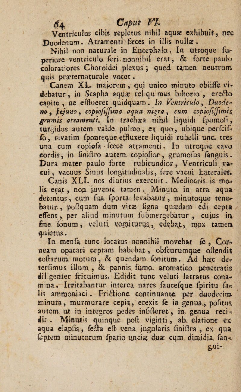 Ventriculus cibis repletus nihil aquae exhibuit, nec. Duodenum. Atramenti feces in illis nullae. Nihil non naturale in Encephalo. In utroque El¬ penore ventriculo feri nonnihil erat, &amp; forte paulo coloratiores Choroidei plexus \ quod t^men neutrum quis prarternaturale vocet. Canem XL. maiorem, qui unico minuto obiifle vi? debatur, in Scapha aquae reliquimus bihoria , ere£k&gt; capite , ne efflueret quidquam. In Ventriculo, Duodc* no , jejuno, copiofijjima aqua nigra, cum copicfijfimis grumis atramenti. In trachea nthii liquidi fpumofi&gt; turbidus autem valde pulmo, ex quo, ubique perfcif? fo, rivatim fponteque effluxere liquidi rubelli unc. tres una cum copiofa * foece atramenti. In utroque cavo cordis, in fioiflro autem, copiofior, grumofus fanguis. Dura mater paulo forte rubicundior, Ventriculi va¬ cui, vacuus Sinus longitudinalis, fere vacui Laterales* Canis XLI. nos diutius exercuit. Mediocris is mo? lis erat , non juvenis tamen, Minuta in arra aqua detentus, cum fua fpom levabatur, mirtutoque tene*- hatur , poilquam dum vita* figna quxdam edi cepta eflent, per aliud minutum fubmergebatur , cujus ia ime. fenum, veluti ^oipjturi^., edebat,, mox tamen quietus. In menfa tunc locatus nonnihil movebat k , Carw neam opacari ceptam habebat , obfcurumque odendis codarum motum, 5c quend.am. fonitum. Ad ha?c de* terfimus illum,, &amp; pannis fumo, aromatico penetratis diligenter fricuimus. Edidit tunc veluti latratus cona-r mina . Irritabantur interea nares faucefque. fpiritu fa*? lis ammoniaci. Fri£tione continuante. per duodecim minuta, murmurare cepit, erexit k in genua., pofitus, autem, ut in integros pedes in fideret, in genua reci* dit . Minui &gt;s quinque poft viginti, ah elatione ex aqua elapiis, fe&amp;a ed vena jugularis finidra , ex qua fep.tem minutorum fpa.tio unefe duae cum, dimidia fana g,uir