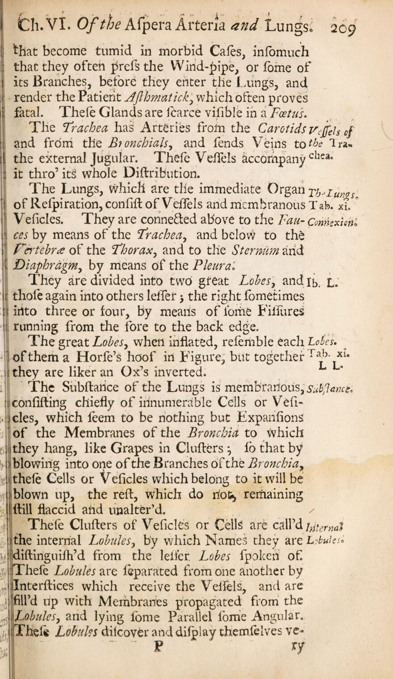 that become tumid in morbid Cafes, infomuch that they often jfeefs the Wind-pipe, or feme of 1 its Branches, before they enter the Lungs, and I render the Patient Afthmatick, which often proves fatal. Thefe Glands are fcarce vifible in a Foetus. The Trachea has Arteries from the Carotids Vejfeis of and from the Btonchials, and fends Veins to tbs lra« the external Jugular. Thefe Veftels accompany clie3e it thro’ it§ whole Distribution. The Lungs, which are tile immediate Organ ^ Lungs of Refpiration, confift of Veffeis and membranous Tab. xi. ° Veficles. They are connected above to the Fan- Connexion', ces by means of the Trachea, and below to the F'ertebra of the Thorax, and to the Sternum and ' Diaphragm, by means of the Pleura.* They are divided into two great Lobes, and ib. L. i thofe again into others Idler > the right fometimes into three or four, by means of feme Fiifures running from the fore to the back edge. The great Lobes, when inflated, refemble each Lobes. of them a Horfe’s hoof in Figure, but together ra^- they are liker an Ox’s inverted. The Subftahce of the Lungs is membranous, Subpana, confiding chiefly of innumerable Cells or Vehi¬ cles, which feem to be nothing but Expansions of the Membranes of the Bronchia to which 1 they hang, like Grapes in Clufters *, fo that by ■'blowing into one of the Branches of the Bronchia, thefe Cells or Velides which belong to it will be blown up, the reft, which do hou, remaining ftill flaccid and unalter’d. Thefe Clufters of Veficles or Cells are call d Internal :the internal Lobules, by which Names they are Lobules* diftinguifh’d from the leifer. Lobes fpokeri of. Thefe Lobules are feparated from one another by linterftices which receive the Velfels, and are fill’d up with Membranes propagated from the Lobules, and lying feme Parallel feme Angular, Thefe Lobules dilcover and difplay themfelves ve- P ry