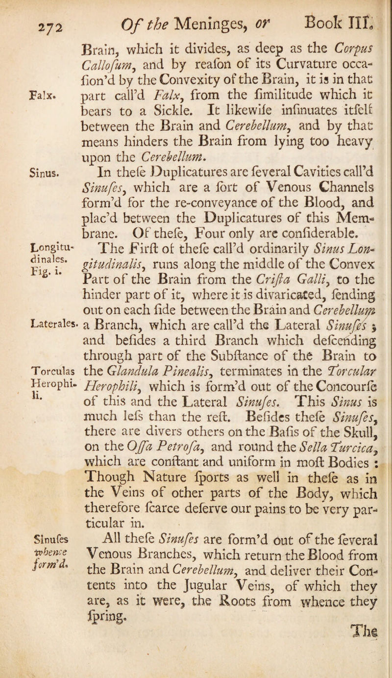 Of the Meninges, or Book III, Brain, which it divides, as deep as the Corpus Callofum, and by realon of its Curvature occa- hon’d by the Convexity of the Brain, it is in that Falx. part call’d Falx, from the fimilitude which it bears to a Sickle. It likewife infinuates itfelf between the Brain and Cerebellum, and by that means hinders the Brain from lying too heavy upon the Cerebellum. Sinus. In thefe Duplicatures are feveral Cavities call’d Sinufes, which are a fort of Venous Channels form’d for the re-conveyance of the Blood, and plac’d between the Duplicatures of this Mem¬ brane. Of thefe, Four only are confiderable. L°ngitu- The Firft of thefe call’d ordinarily Sinus Lon- dinaies. gitudinalis, runs along the middle of the Convex lg* U Part of the Brain from the Crifta Galli, to the hinder part of it, where it is divaricated, fending out on each fide between the Brain and Cerebellum Laterales. a Branch, which are call’d the Lateral Sinufes $ and befides a third Branch which defcending through part of the Subfiance of the Brain to Torculas the Glandula Pine alls, terminates in the !Torcular Herophi. Herophili, which is form’d out of theConcourfe of this and the Lateral Sinufes. This Sinus is much lefs than the refi. Befides thefe Sinufes, there are divers others on the Bafis of the Skull, on thtOffa Petrofa, and round the Sella Turcica, which are conftant and uniform in moft Bodies : Though Nature fports as well in thefe as in the Veins of other parts of the Body, which therefore fcarce deferve our pains to be very par¬ ticular in. Sinufes All thefe Sinufes are form’d out of the feveral tvbence Venous Branches, which return the Blood from jo>m . the Brain and Cerebellum, and deliver their Con¬ tents into the Jugular Veins, of which they are, as it were, the Roots from whence they ipring. The