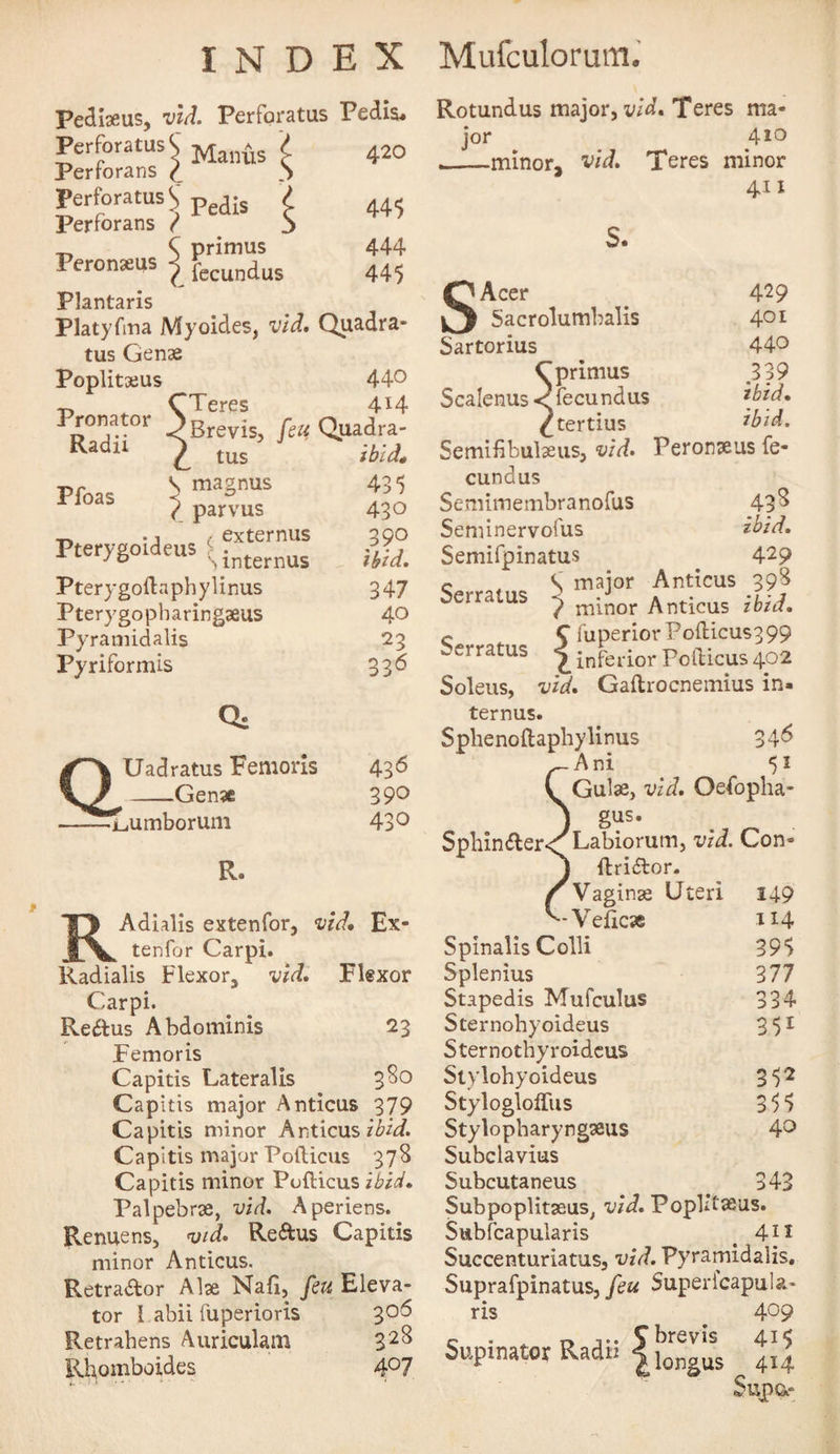 Pediaeus, vid. Perfqratus Pedis, Perforate S Man{is l Perrorans ( .) 420 PerforatusC pedis / Perrorans / 3 44$ Peronsus £ ^Tndus 444 44$ Plantaris Platyfma Myoides, vid. Quadra- tus Gense Poplitseus 440 PR°T-t0r Srevis, feu Radl1 l tus 414 Quadra- ibid. Pfoas &gt; m3SnUS 43$ 4 parvus 430 ^ -i / externus Pterygoideus ^internus 390 ibid. Pterygoftaphylinus 347 Pterygopharingaeus 40 Pyramidalis 23 Pyriformis 336 Q: /A Uadratus Femoris \/ -Genae 436 390 ——TjUinborum 430 R. RAdialis extenfor, vid. Ex* tenfor Carpi. Radialis Flexor, \lid. Flexor Carpi. Re&amp;us Abdominis 23 Femoris Capitis Lateralis 3^° Capitis major Anticus 379 Capitis minor KtXiqws ibid. Capitis major Pofticus 378 Capitis minor Pofticus ibid. Palpebrae, vid. Aperiens. Renuens, vid. Reftus Capitis minor Anticus. Retra&amp;or Alae Nafi, feu Eleva¬ tor 1 abii fuperioris 306 Retrahens Auriculam 32^ Rhomboides 4°7 Rotund us major, vid. Teres j°r 410 minor, vid. Teres minor 411 429 401 440 339 ibid. ibid. s. SAcer Sacrolumbalis Sartorius C primus Scalenus &lt; fecundus ^tertius Semibbulseus, vid. Peronseus fe¬ cundus Semimembranofus 43^ Seminervofus ibid. Semifpinatus 429 c , S major Anticus 39S Semtus ? minor Anticus ibid. c S fuperiorPo(licus399 we? ratus inferior Pofticus 402 Soleus, vid, Gailrocnemius in« ternus. Sphenoftaphylinus 34^ .Ani 51 Gulae, vid. Qefopha- J gus- Sphin&amp;er&lt;^Labiorutn, vid. Con* } ftri&amp;or. Vaginae Uteri Vpfi Spinalis Colli Splenius Stapedis Mufculus Sternohyoideus Sternothyroidcus Stylohyoideus Stylogloffus Stylopharyngseus Subclavius Subcutaneus Subpoplitaeus, vid. Poplifseus. Subfcapularis t 411 Succenturiatus, vid. Pyramidalis. Suprafpinatus, feu Supericapula¬ ris ^ 4° 9 C - ^ r&gt; i*. Sbrevis 41$ Supinator Radi: |ionSus ^ 414 Sup&amp;« 149 114 39$ 377 334 351 3$2 35$ 40 343