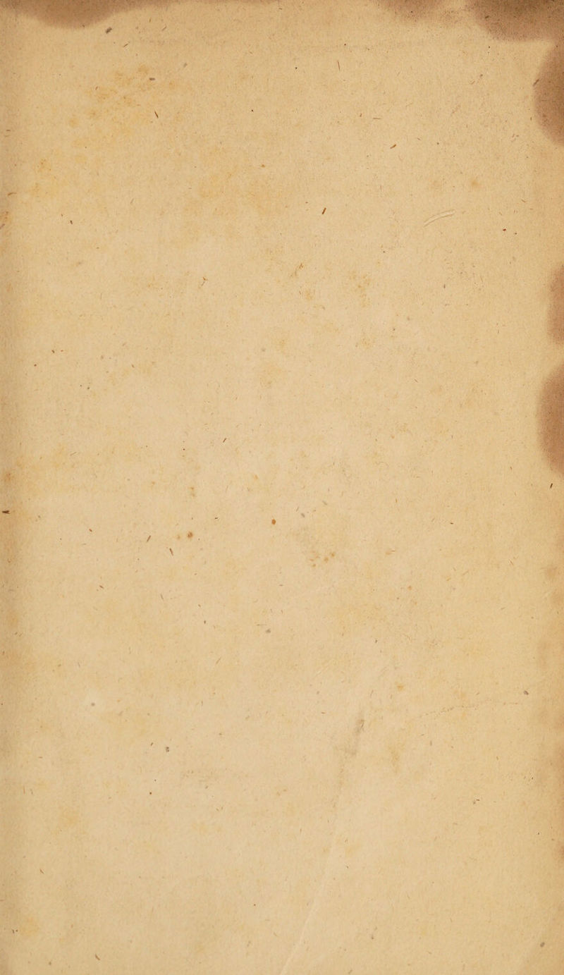 7 c / > - * \ . s / X ' I \