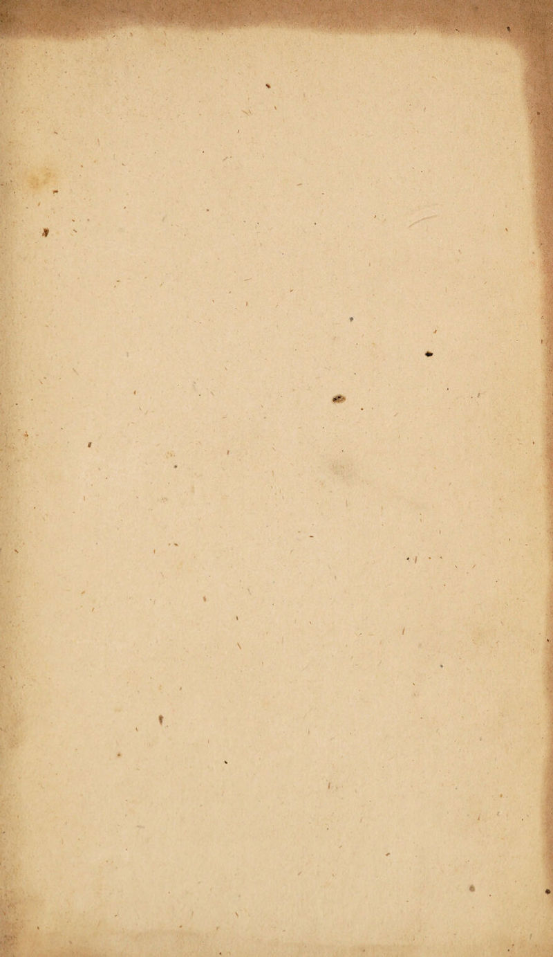 • 'T-i' ” . ( . / - ) -i I ’ '