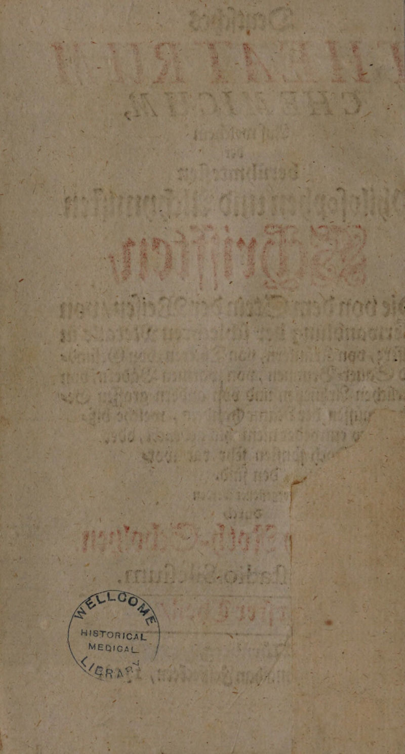 nl, Med; Hi 4 1 | | ie 12 5 85 1 e Ber Ft An 23 3 a 2035 25 0 . EHER 115 5 4 a e 7 e c La 11960, | A e F