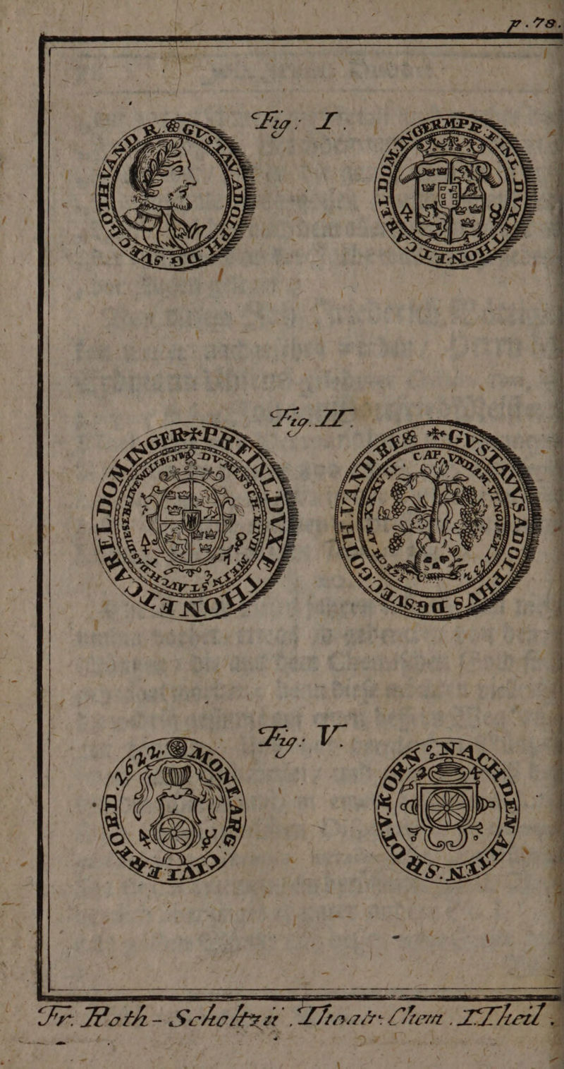 N Chem. 3 g Toast Fr. Roli 1