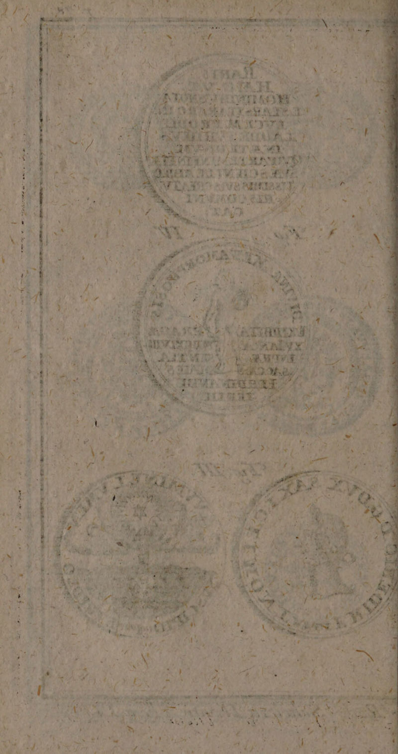 5 e ee 1 — — . S * * — * = Ay ae? Sn] N EBEN N a Fr 7 = Bere en