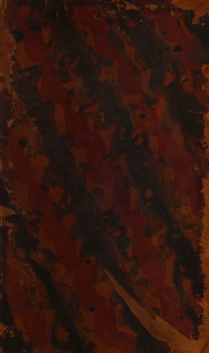 No text description is available for this image