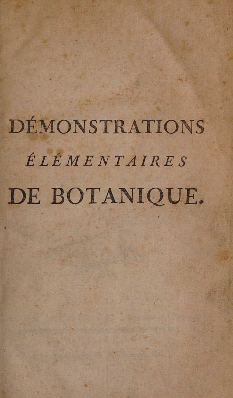 DÉMONSTRATIONS D OÉLÉMENTAIRES DE BOTANIQUE.