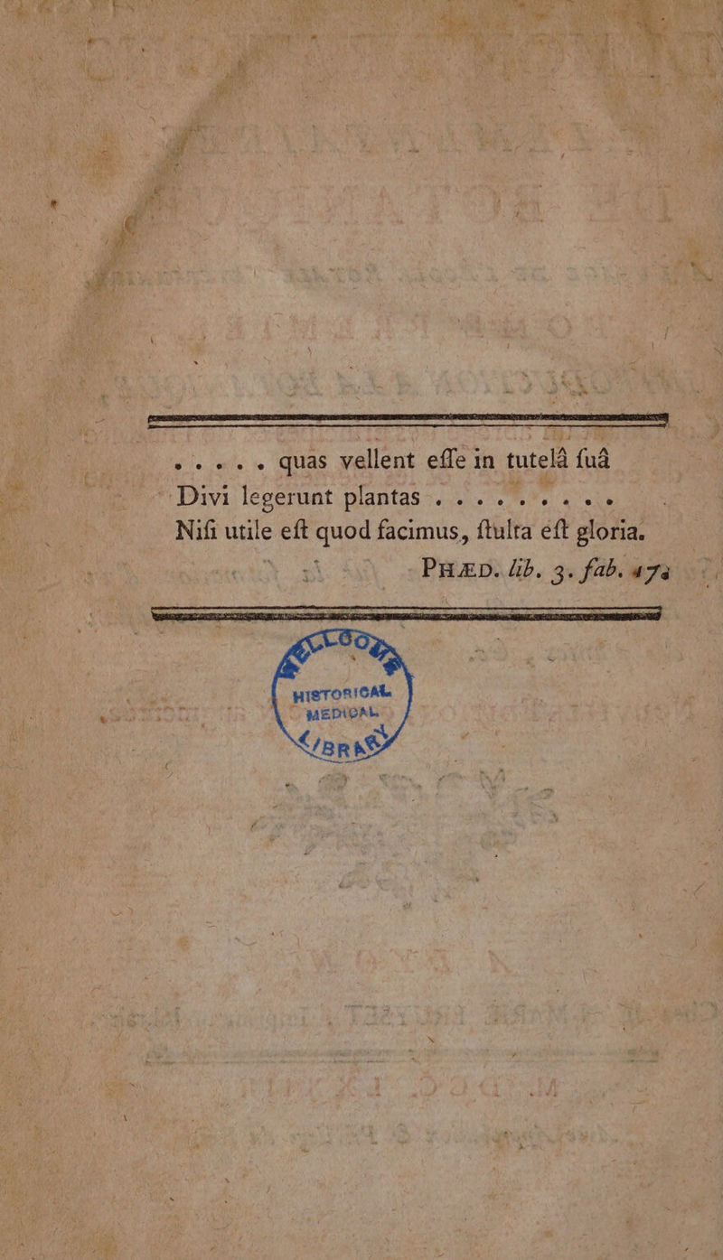 .. +. . quas vellent effe in tutelà fuâ Davi: legérunt: plantas ri. me ES Nifi utile eft quod facimus, ftulta eft gloria. Ye PHÆD.4b. 3. fab. uya HISTORICAR MEDIPAL Br Le