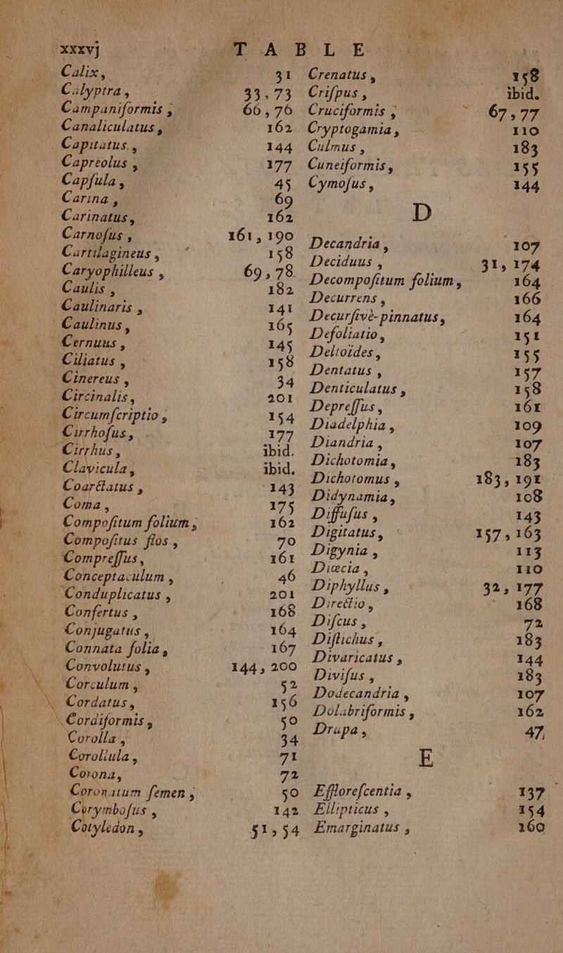 Calix, Companiformis Copitartus., Capreolus , Capfula; Carina, Carinatus, Carnofus : Cartilagineus , Caryophilleus 4 Caulis , Clare ù Caulinus, Ciliatus , Circinalis, Coarétatus , Compofitum folium ; Compofitus flos, Conceptaculum , Lun À Confertus , Conjugatus, Connata folie, Convolutus , Corculum , Cordatus, Cordiformis ; Obhoits k Corona, Coron 1turm femen ; rymbofus , 7 HAN A : l D M'A BL EE 31 Crenatus, 33,73 Crifpus, 66,76 Cruciformis ; 162 Cryptogamia, 144 Culmus, 177 Cuneiformis, 45 Cymofus, 6 16 D 1615190 Decandria, 158 Deciduus , ARS Decompofitum folium, 182 fai RS À. ecurfive-pinnatus 165 Defoliatio d 165 Delioides, 1e Dentatus, 34 Denticulatus FX . Deprefus, Diadelphia , Lie Diandria , ip: d Dichotomia, PC Dichoromus à 43 Didynamia, 17) Dififus, UE Digitatus, He Digynia , 6 Diccia, ‘fs , Diphyllus, 168 Direttio, 6 Difcus, p #4 Difhichus , 197 Divaricatus pa An Divifus , je Dodecandria , au Dolubriformis , A Drupa, 71 E 72 so ÆEfforefcentia, 142 ÆEllipticus, $1,54 ÆEmarginatus, 31; 193; 1575 32» 160