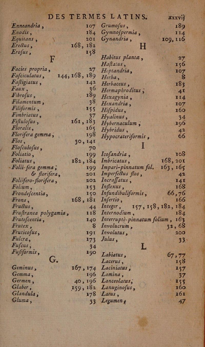 Enodis, . 104 Equitans , \ 201 Ere&amp;us, . 168, 182 Erofus, | 158 F Facies propria, 27 Fafciculatus, 144, 168, 189 Fafhigiatus , 142 Faux, 36 Fibrofus , 189 Filamentum , 38 Filiformis , 155 Fimbriatus , 37 Fiflulofus , 161,183 Floralis, 16$ Florifera gemma 198 Flos , 30,141 Flofculofus, 70 Foliatio, 199 Foliatus, 182, 184 - Folii- fera gemma ; 199 6 florifera, 201 Foliifero-florifera , 202 Folium , 153 Frondefcentia, 150 Frons, 168 , z81 Fruëus, 44 Fruftranea polygamie , 118 Frutefcentia, 140 Frutex , 8 Fruticofus, 191 Fulcra, 173 Fufcus , 34 ÆFufiformis, 190 G. Geminus , 1067 , 174 Gemma, 196 Germen , 40 , 196 Glaber , 159, 182 Glandula , 178 Gluma , 33 XXxXVIf Gymnofpermia 114 Gynandria , 109, 116 Habitus plante, Ne ra Haftatus, 156 Heptandria, 107 Herba, Herbaceus , 183 Hermaphroditus ; AL Hexagynia , 114 Hexandria , 107 Hifpidus, 160 Hyalinus, 34 Hybernaculum ; 196 Hybridus , 42 Hypocrateriformis , 66 Il Icofandria , 108 Imbricatus, 168,201 Impari-pinnatum fol, 163, 16% Imperfeëlus flos, MNT Incraf[atus , 141 Inflexus , 168 Infundibuliformis , 66,76 nice $ 166 Integer, 157,158, 182, 184 Internodium , 184 Interruptè-pinnatum folium , 163 Involucrum , 32, 68 Involutus, 200 Julus , 33: L ne Labiatus , 67,77 Lacerus , 158 Laciniatus , 157 Lamina, MC pra Lanceolatus, 155 Lanuginofus , 160 Latus , 261 Legumeny AT