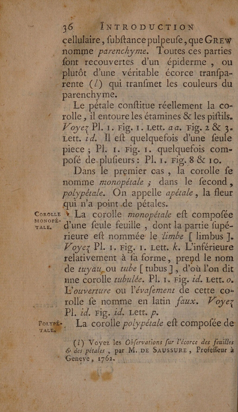 EME ve Le d celle. fubftance pulpeufe, que GREw ‘0 | nomme parenchyme. Toutes ces parties 00 _ font recouvertes d’un épiderme , ou plutôt d'une véritable écorce tranfpa- -rente (/) qui tranfmet les couleurs du parenchyme. Le pétale conftitue réellement la co- * rolle, il entoure les étamines &amp; les piftils. Voyez Pl. 1. Fig. 1. Lett. aa. Fig. 2 &amp;c 3. Lett. zd. Il eft quelquefois d'une feule piece ; PL. 1. Fig. 1. quelquefois com- polé de. plufieurs: PL 1. Fig. 8 &amp; 10. Dans le premier cas , la corolle fe PRO nomme zzonopétale ; dans le fecond, ER polypétale. On appelle apétale, la fleur qui n'a point.de pétales. CoroirEe * La corolle monopérale eft compofée M d'une feule feuille , dont la partie fupé- rieure eft nommée le Zmbe [ limbus I. Voyez PL 1. Fig. 1. Lett. &amp;. L'inférieure relativement à fa forme, prend le nom de zuyau,.où tube ['tubus ], d’où l’on dit ine Corolle subulée. PL 1. Fig. zd. Lett. 0. L'ouverture ou l’évafement de cette co: rolle fe nomme en latin faux. Wor oyez À PI. id. Fig. sd. Lett. p. ie dE | La corolle po/ypérale eft compofée de * « Vel 4 Fo DORE NT SET Voyez les Obfervations fur l'écorce des faites { FH &amp; des pétales, par M..DE SAUSSURE , Profeffeur à! DU 1 Gene; HIER À DT: