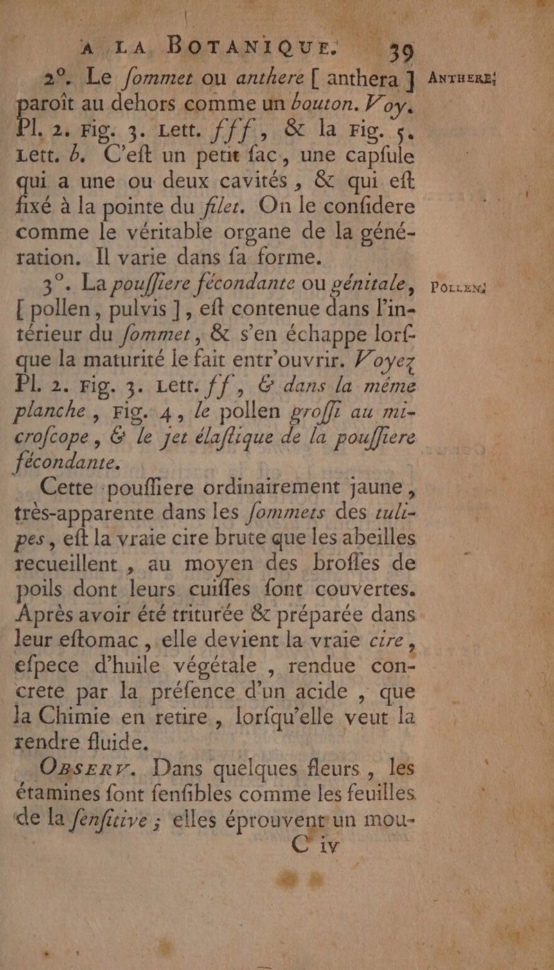 i fr Ag fs, 1 ANLA, BOTANIQUE na ARR + oœ aroît au dehors comme un bouton. Foy, OMIS. 3./Lett Ce LOC la Pie. dl Lett. 0. C’eft un pete fac, une capfule qui a une ou deux cavités, &amp; qui eft fixe à la pointe du fer. On le confidere comme le véritable organe de la géné- ration. Il varie dans fa forme. [ pollen, pulvis ], eft contenue dans lin- térieur du /ommet, &amp; s'en échappe lorf que la maturité le fait entr'ouvrir. Voyez PL 2. Fig. 3. Lett. ff, &amp; dans la même planche, Fig. 4, le pollen proffi au mi- crofcope , 6 le Jet élaflique de la pouffiere fécondante. Cette :poufliere ordinairement jaune, très-apparente dans les fommers des tulr- pes, eft la vraie cire brute que les abeilles recueillent , au moyen des brofles de poils dont leurs cuifles font couvertes. Après avoir été triturée &amp;c préparée dans leur eftomac , elle devient la vraie czre, efpece d'huile végétale , rendue con- crete par la préfence d'un acide , que Ja Chimie en retire, lorfqu’elle veut la rendre fluide. . Ogserr. Dans quelques fleurs, les étamines font fenfbles comme les feuilles de la Jenficive ; elles éprouventun mou- | ‘à C'iv “