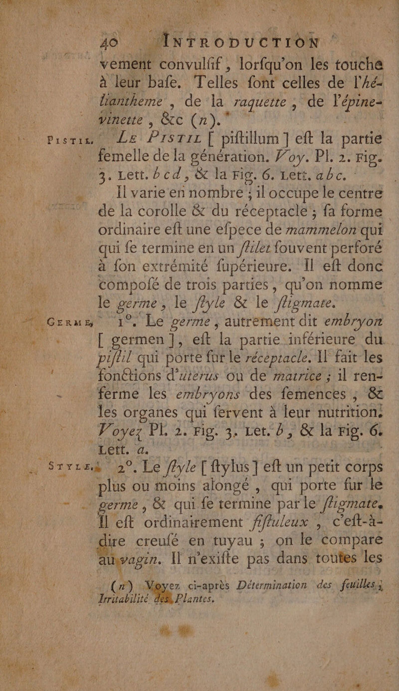 RS M er ee DU UE ONE NES A EVAREX AS A ERE RE 30 | NPEe coude 317 tas vement convulff , lorfqu’on les touche : oo _ à leur bafe. Telles font celles de l’Aé- liantheme Jde tit raquette , de TOR ne 'Wineue , &amp;c (r).° D prisme LE PISTII | piftllum ] eft Fa partie it femelle de la génération. Foy. PI. 2. rig. 3. Lett. cd, &amp; la Fig. 6. Lett, abc. : Il varie en HOtbtel ; il occupe le centre de la corolle &amp; du réceptacle ; fa forme ordinaire eft une efpece de mammelon qui qui fe termine en un /Z4r fouvent perforé à fon extrémité fupérieure. Il eft donc compolé de trois parties, qu'on nomme le germe le /fyle &amp; le figmare. * 1°, Le perme , autrement dit embryon [ germen |, eft la partie inférieure du. puyal qui porte fur le réceptacle. Il fait les dimon d'uterus Où de matrice ; 1] ren- . ferme les embryons des femences ; ; &amp; % Æ 1 les organes qui fervent à leur nutrition. pi | Here Voyez PE, 2. Fins 3: Let Up CO Id Fig. 6. Pen Lett. a. Srrreÿ 2°, Le ftyleT {yls ] eft un petit corps Ti plus ou moins alongé , qui porte fur le . germe, &amp; qui. {e ennine par le fhgmate, DL ordinagement ffluleux , ceft-à- nu lire creufé en tuyau ; on le comparé LITRES Miquer Il n'exifte pas dans toutes les ie DA JP) 14 ez ci-après Dééniastion des failles; ra Jrrisabilité à + Plantes, 3