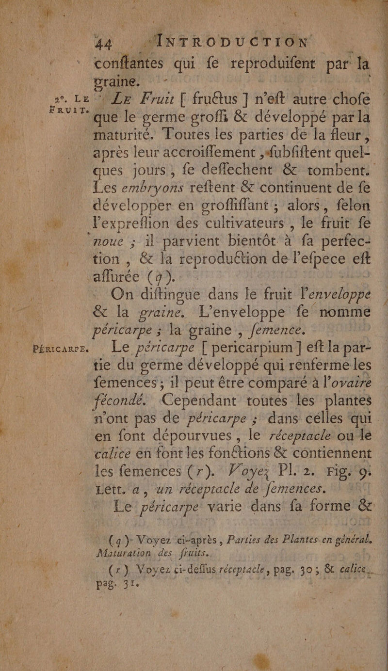 Lu ae ro À NTRODUCTI ré N° ESS er qui {e reproduifent par la ‘4 “Ro ‘ 2e, LE Fruit [ fruétus ] n’eft autre Mur * Fur que le germe grofli &amp; développé par la ‘14 maturité. Toutes les parties de la fleur, après leur accroiflement ,#ubfftent quel- ques jours, fe deffechent &amp; tombent: Les embryons reftent &amp; continuent de fe développer en grofliflant ; alors, felon wn lexprefion des culrivateurs 9 le fruit fe noue ; il parvient bientôt à fa perfec- , tion, &amp; la reproduétion de l D de eft à Créé (Der de On diftingue dans le fruit Fil lu &amp; la graine. L'enveloppe fe nomme pr péricarpe ; la graine , femence. _ pimcawr. Le péricarpe [ pericarpium ] eff la par- h | tie du germe développé qui renferme les A femences ; ; il peut être comparé à l'ovare | _ fécondé. Cependant toutes les plantes Li n'ont pas de péricarpe ; dans celles ‘qui. d en font dépourvues , le réceptacle ou le calice éñ font les fonétions &amp; contiennent , les femences (r). Woye; PL 2. Fig. 9: Letr. a, un récepracle de Jemences. Le péricarpe varie dans fa forme &amp;e ” ÿ Voyez ci-après, Parties des Plantes: en gra. | Maturation des fruits. 4 (x). Voyez ci-deflus réceptacle, pag. 19 &amp;c calice. pég- 31.