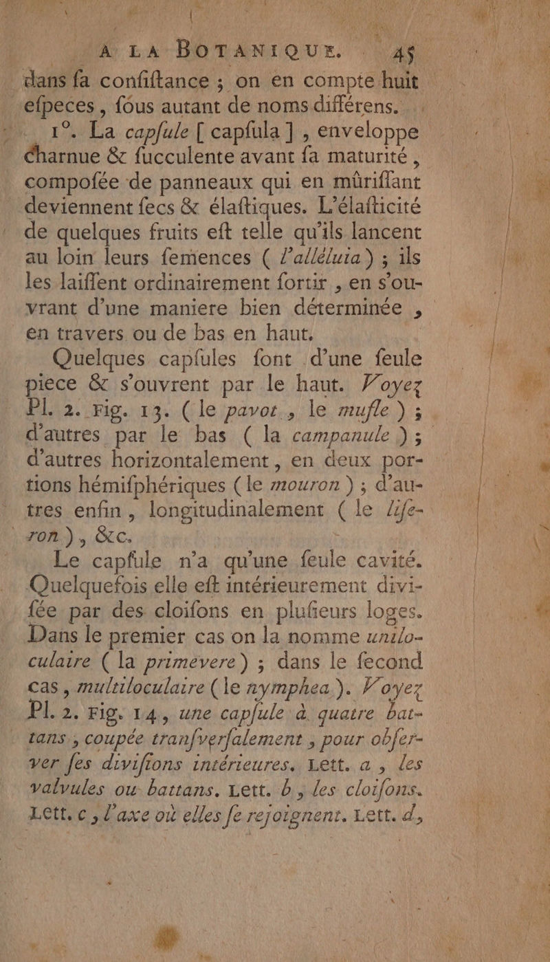 VEN MANN Me k r efpeces , {ous autant de noms différens. Éharnue &amp; fucculente avant fa maturité, compofée de panneaux qui en müriflant deviennent fecs &amp; élaftiques. L’élaiticité de quelques fruits eft telle qu'ils lancent au loin leurs femences ( l’alléluia) ; ils les laiflent ordinairement fortir , en s’ou- Quelques capfules font d’une feule piece &amp; s'ouvrent par le haut. Voyez PL 2. rig. 13. (le pavor., le mufle ) ; d’autres horizontalement, en deux por- 2 4 “ are ? tions hémifphériques (le #ouron ) ; d’au- tres enfin, longitudinalement ( le Zif{e- . Le capfule n’a qu'une feule cavité. Quelquefois elle eft intérieurement divi- fée par des cloifons en plufeurs loges. Dans le premier cas on la nomme wnzlo- culatre ( la primevere) ; dans le fecond cas, multiloculaire (le nymphea). Woyez tans,, coupée tranfverfalement ; pour objer- ver fes divifions intérieures, Lett. a , les valvules ou battans. Lett. b, les cloifons. Lett. c , l'axe où elles fe rejoignent. Lett. d, # = - = Ed RO RE res