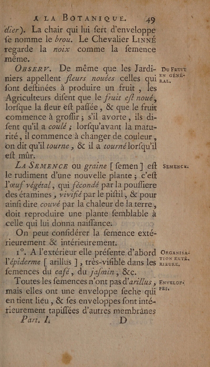 RAR CIRE \ #: ; Re ECO M Me LUE pt LES | PA AA A LA BOTANIQUE 49 ‘4 lier). La chair qui lui fert d’enveloppe a {e nomme le érou. Le Chevalier LINNÉ | “. regarde la noix comme la femence même. | Fe Ozszrr. De même que les Jardi- Dureur M niers appellent ffeurs nouées celles qui sis font deftinées à produire un fruit , les FRS Agriculteurs difent que le fruit eff noué, lorfque la fleur eft paflée , &amp; que le fruit commence à grofür ; sil avorte, ils-di- fent qu'il a coulé ; lorfqu’avant la matu- rité, il commence à changer de couleur, on dit qu'il tourne , &amp; 1l a tourné lorfqu'il + RR eft mür; | È | “di : La Ssmence où graine [ femen] eft semence le rudiment d’une nouvelle plante ; c’eft l'œuf végétal, qui fécondé par la poufliere des étamines , vivifié par le piftil, &amp; pour Fr ainf dire couvé par la chaleur de laterre, 0 doit reproduire une plante femblable à Es celle qui lui donna naïffance: 3 .. Onpeut confidérer la femence exté- rieurement &amp; intérieurement. ; » 1°. Afextérieur elle préfente d’abord Orcaxrsa: l’épiderme [ anillus ], trés-vifible dans les mzure, femences du café, du ya/min, &amp;c. Voutes les femences n’ont pas d'arillus , Exveror: mais elles ont une enveloppe feche qui ** en tient liéu , &amp; fes enveloppes font inté- _ Hieurement tapiflées d’autres membränes $