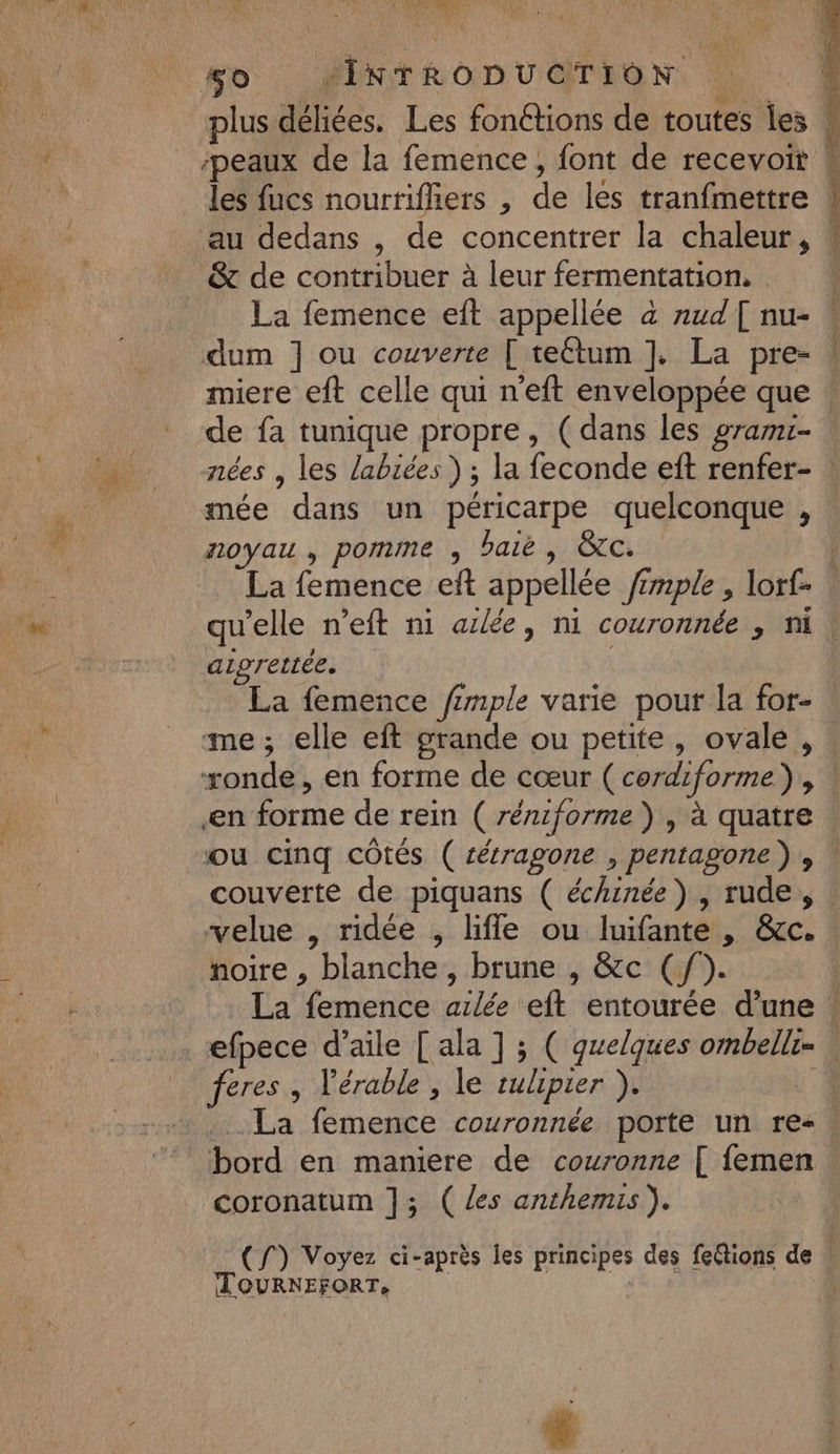 il, Pr &amp;. PUS &amp; (y LA AS AT E #o #INTRODUCTION plus déliées. Les fonétions de toutes les 4 : ‘peaux de la femence, font de recevoit | les fucs nourtifliers , de les tranfmettre au dedans , de concentrer la chaleur, &amp; de contribuer à leur fermentation, La femence eft appellée à zud[ nu- dum ] ou couverte [| teétum ]. La pre- miere eft celle qui n’eft enveloppée que : _* de fa tunique propre, (dans les grami- ln nées, les labiées) ; la feconde eft renfer- | k mée dans un péricarpe quelconque , j) noyau, pomme , baië , &amp;tc. | CRE La femence eft appellée /imple , lorf- U qu'elle n’eft ni ailée, ni couronnée , ni, aipretlee. La femence fimple varie pour la for- me; elle eft grande ou petite, ovale , ! ronde, en forme de cœur ( cordiforme), | en forme de rein ( rénzforme ) , à quatre ou cinq côtés ( sétragone , pentagone ), \ couverte de piquans ( échinée) , rude, | velue , ridée , lhfle ou luifante, &amp;c.. ‘ noire , blanche, brune , &amp;c (f). | ne La femence ailée eft entourée d’une : . «efpece d’aile [ala ] ; ( quelques ombelli- | feres, Vérable , le rulipier ). “4 La femence couronnée porte un re-. bord en maniere de couronne [ femen coronatum ]3; ( es anthemis ). Fa (f) Voyez ci-après les principes des fetions de | LOURNEFORT: |