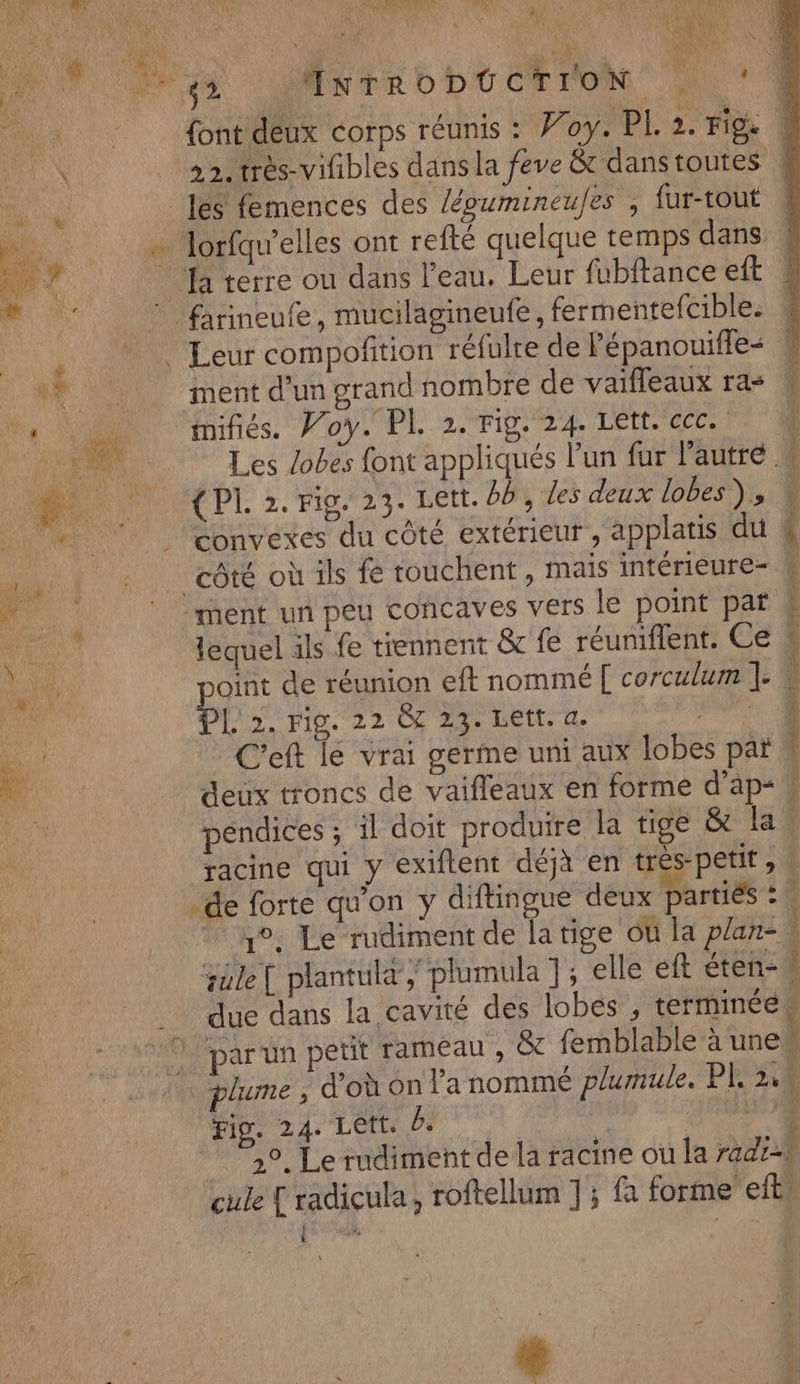 r ANPTEMRA EN Le PRE” EN? 1] Je L'il |, NULL! * RQ A 174 HR AG 2 22, très-vifibles dans la feve &amp; dans toutes Leur compofition réfulte de Pépanouifle- ment d’un grand nombre de vaifleaux ras imifiés. Voy. PL 2. Fig. 24. Lett. ccc. { PI. 2. Fig. 23. Lett. bb, les deux lobes), (2. Fig. 22 GT 23. Lett. a. C'eft le vrai germe uni aux lobes pat sale ( plantüla plumula ]; elle eft éten- Fig. 24. Lett. D. { 4 * | { » % |
