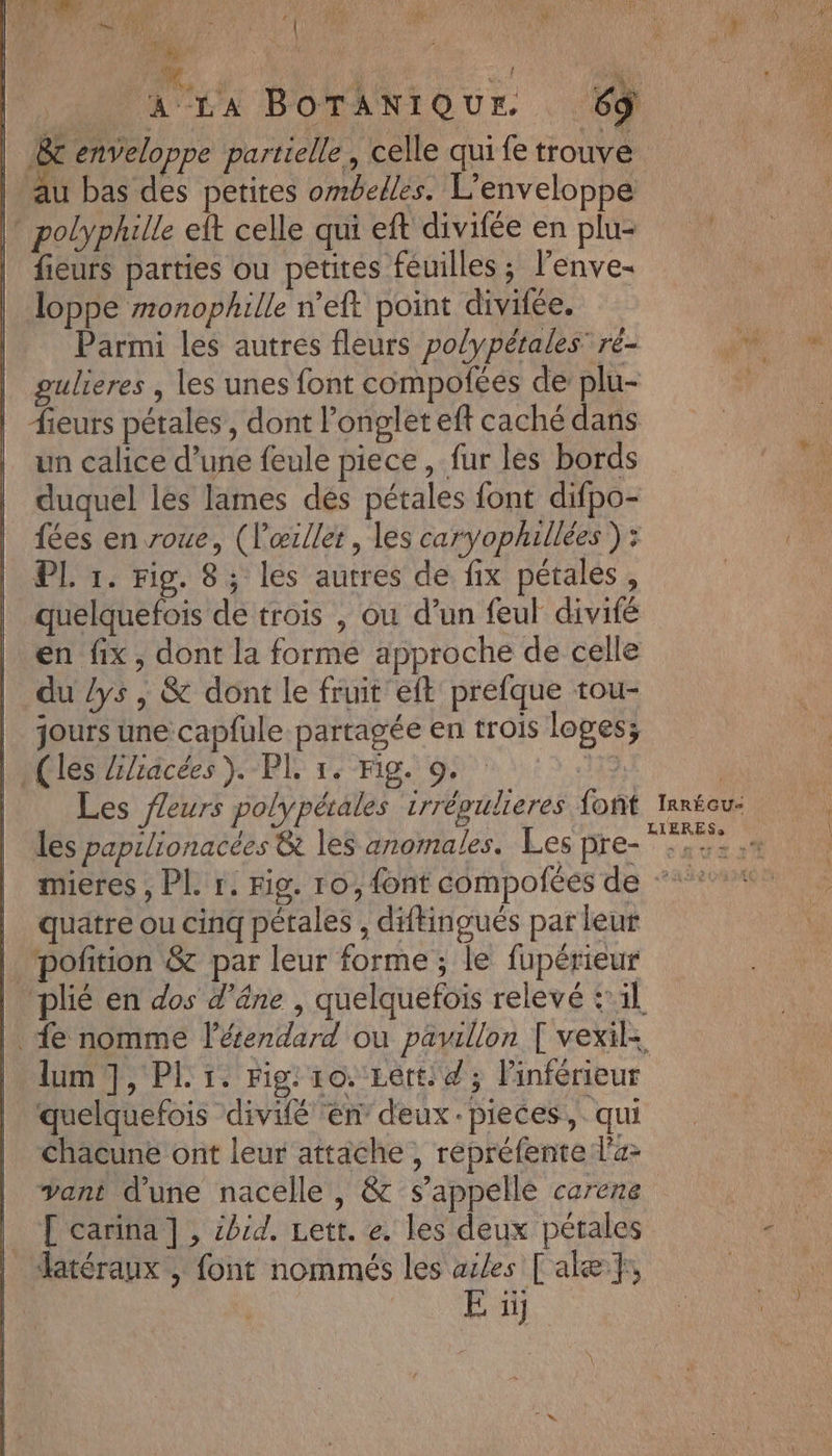 Un VE A LA BOTANIQUE 69 Là enveloppe partielle, celle qui fe trouve au bas des petites ombelles. L'enveloppe polyphille et celle qui eft diviféeen plu fieurs parties ou petites feuilles ; lenve- loppe monophille n’eft point divifée. Parmi les autres fleurs polypétales ré- gulieres , les unes font compoféées de plu- ieurs pétales, dont l'onglet eft caché dans un calice d’une feule piece, fur les bords duquel les lames dés pétales font difpo- {fées en roue, (l'œrllet, les caryophillées ) : PL 1. Fig. 8; les autres de fix pétales, quelquefois de trois , ou d’un feul divifé en fix, dont la forme approche de celle du lys , &amp; dont le fruit eft prefque tou- |_ jours une capfule partagée en trois loges; | (les Z/racées ). PI, 1. Fig. 9. 173 | | Les fleurs polypétales irrépulieres foñt anteu- les papilionacées &amp; les anomales. Les pre- FACE mieres , PL r. Fig. 10, font compofées de **: quatre ou cinq pétales , diftingués par leur poñition &amp; par leur forme ; le fupérieur | plié en dos d'âne , quelquefois relevé :1l |. fe nomme l’éendard ou pavillon [ vexil. lum , PL 1. Fig: 10. Lett: d; linférieur quelquefois divifé en deux:pieces, qui Chacune ont leur attache , répréfente l'a vant d'une nacelle, &amp; s'appelle carene _ [ carina], cbrd. Lett. e. les deux pétales | Jatéraux, font nommés les ailes [ alæ},