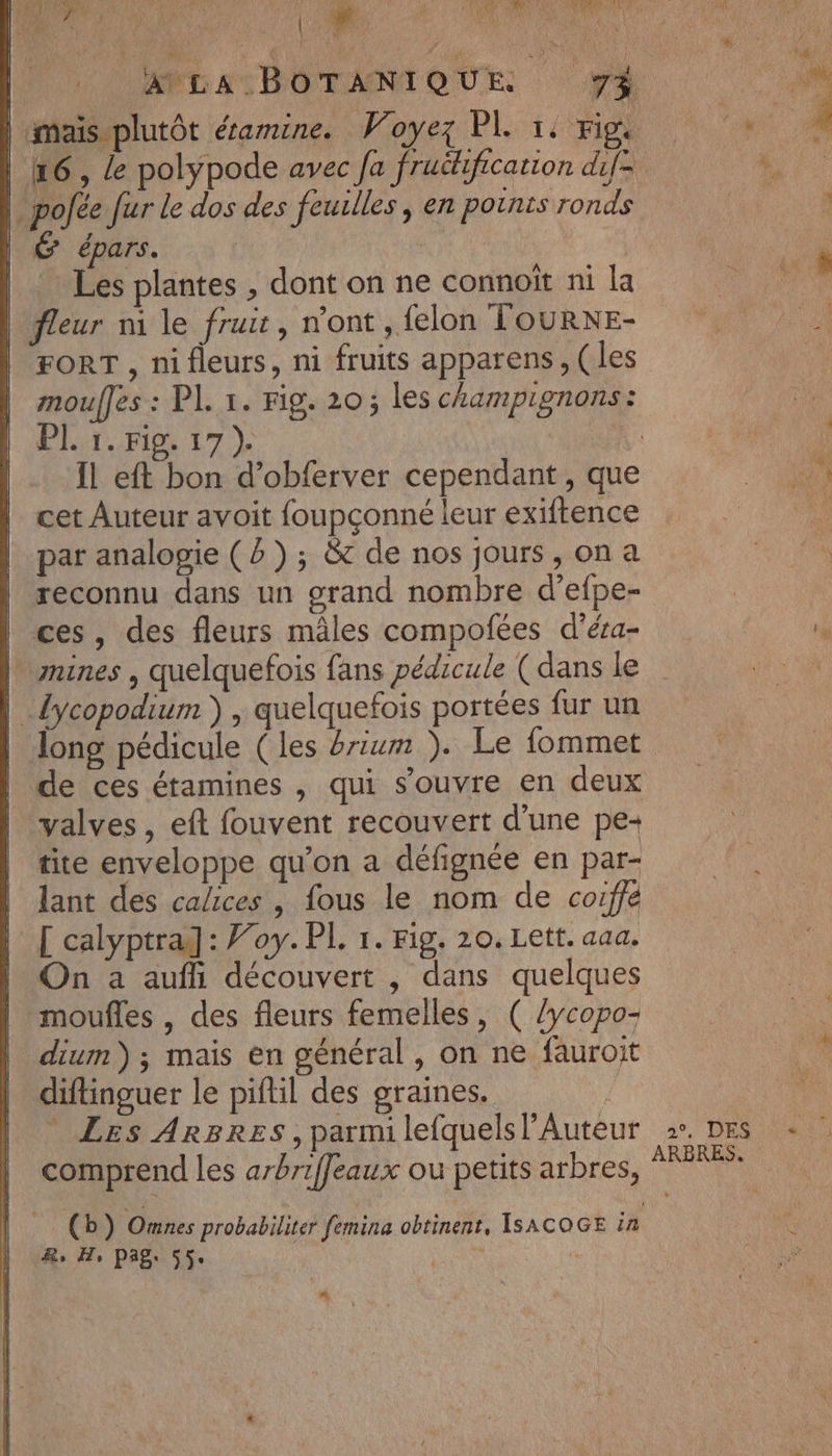 | imais-plutôt éramine. Voyez PL 1: ris | pofée fur le dos des feuilles, en potnts ronds épars, Les plantes , dont on ne connoït ni la | fleur mi le fruit, n’ont , felon TOURNE- FORT , nifleurs, ni fruits apparens, (les mouffes : PL. 1. Fig. 20; les champignons: Prin 17) cet Auteur avoit foupçonné leur exiftence par analogie (2); &amp;t de nos jours, on a reconnu dans un grand nombre d’efpe- ces, des fleurs mâles compofées d’éra- lymines , quelquefois fans pédicule ( dans le | Lycopodium ) , quelquefois portées fur un long pédicule (les brium ). Le fommet de ces étamines , qui s’ouvre en deux valves , eft fouvent recouvert d’une pe- tite enveloppe qu’on a défignée en par- | lant des caices , fous le nom de coiffe | ['calyptra]: V’oy. PL 1. Fig. 20. Lett. aaa. On a aufli découvert , dans quelques | moufles, des fleurs femelles, ( /ycopo- | dium); mais en général, on ne fauroit diftinguer le piftil des graines. 1  Les ARBRES, parmi lefquels l’Auteur comprend les arbriffeaux ou petits arbres, +00) Omnes probabiliter femina obtinent, ISACOGE in