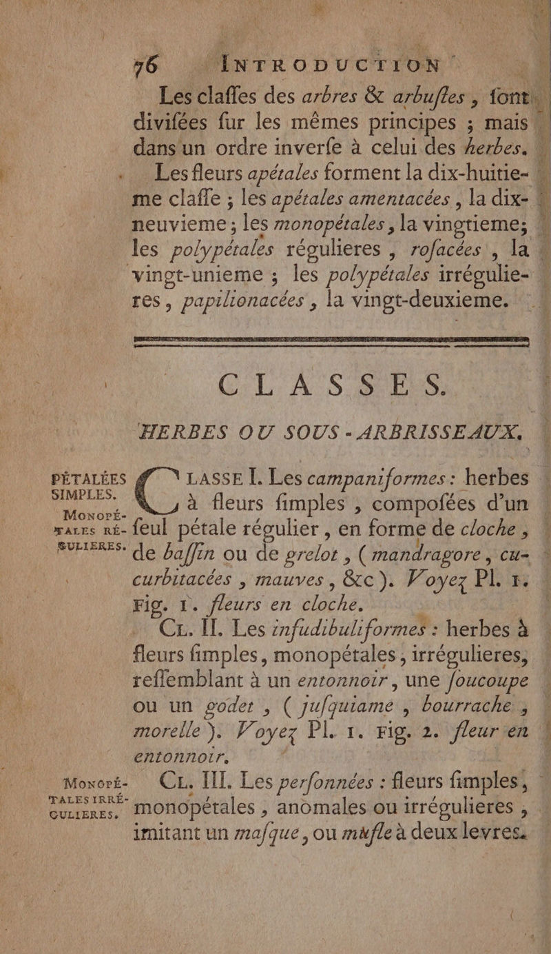 56 MNTRODUCTION LR Les clafles des arbres &amp;t arbulles , fonti. divifées fur les mêmes principes ; maisw dans un ordre inverfe à celui des herbes. M . Les fleurs apérales forment la dix-huitie- # me claffe ; les apétales amentacées , la dix- # neuvieme ; les monopétales , la vinotieme; # les polypétales régulieres , rofacées , la # vingt-unieme ; les polypétales irrégulie- res, papilionacées , la vingt-deuxieme. M CLASS HERBES OU SOUS - ARBRISSEAUX, PÉTALÉES LASSE I. Les campaniformes : herbes SIMPLES. SEE à fleurs fimples , compofées d’un rares ré- feul pétale régulier, en forme de cloche, * FRS: de baffin ou de prelot , (mandragore SCa= À curbitacées | mauves , &amp;c). Voyez PI 1. Fig. 1. fleurs en cloche. | mr CL IL Les infudibuliformes : herbes à fleurs fimples, monopétales, irrégulieres, reflemblant à un erronnoir , une foucoupe ou un godet , ( ju/quiame , bourrache , morelle ). Woyez PI 1. Fig. 2. fleurren entOonroIr. _Moxoré- CL. IL. Les per/onnées : fleurs fimples, Qurseres. IMOnopétales , anomales ou irrégulieres , : imitant un mafque, ou mafle à deux levres, EST 2 A set