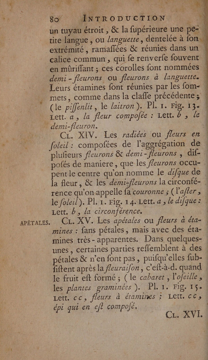1 ; 3 \'\fe +4 8 MŒNTRODUCTION, :., un tuyau étroit , &amp; la fupérieure une pe* tite langue , ou languete, dentelée à {on “extrémité, ramañlées &amp; réunies dans un calice commun, qui fe renverfe fouvent en müriflant ; ces corolles font nommées \ demi - fleurons ou fleurons à languette. \ Leurs étamines font réunies par les fom- w . mets, comme dans la claffe précédente; # (le piffenlit, le laitron). PL 1. Fig. 13- 4 _ Zett. a, la fleur compofée : Lett. d , de demi-fleuron. A QE Cr. XIV. Les radiées ou fleurs en “ foleil : compofées de l'aggrégation de plufeurs fleurons &amp; demi - fleurons , dif- pofés de maniere, que les ffeurons occu- pent le centre qu'on nomme le difque de la fleur, &amp; les demi-fleurons la circonfe- rence qu'onappelle fa couronne ; (l'afler , le foleil). PL. 1. Fig. 14. Lett. a , le difque: : Lett. b, la circonférence. mines : fans pétales, mais avec des éta- mines très- apparentes. Dans quelques- unes , certaines parties reflemblent à des : étales &amp; n’en font pas, puifqu’elles fub- : fiftent après la Jeuraifon, c’eft-à-d. quand , le fruit eft formé ; (le cabaret , l'oferlle, les plantes graminées ).. PL Tr. Fig. 1504 Lett. cc, fleurs à étamimes ; LE CC» épi qui en eft compojé, | CL. XVI.