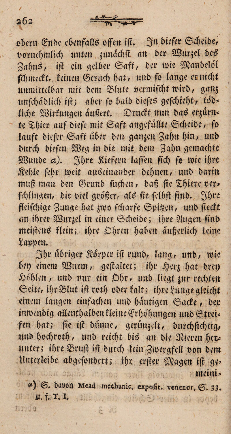 oBertt 0tbe cBcnfaKi^ offen 3tt biefer @d)erbef ooruef;mlid) unten ^undd)|l. an ber Sur^d bc^ gabn^^; ijl ein gelber @aftr ber toie ?OianbeldC (d)mecHtr feinen 0erud) t)atr nnb fo lange ernid)t unmittelbar mit bem ^lute ocrmifc()t toirb ^ gan| unfcbdblid) tfr; aber fo bvilb biefe^ gefdnel)t/ tob--* l\d)t 51Öir!ungett du§ert. ^ruc!t nun bg^ er^urn^ te Xl)icr auf biefe mit ©aft angefußte ©d)eibeA fo lauft biefer ©aft über ben ganzen 3af)n ^in^ unb burd) biefen ^eg in bie mit bem 3al>n gcmad)te SBunbe a\ 31)rc liefern lajfen ftd? fo toie if)re 5?el)le febr toeit au^einauber be^)nett, unb barin mag man ben 6runb fud)Cttf bag fk X^iere ocr^ fd)lingen, bie bicl grdgerr al^ ge felbg gnb. 3^re geifegige gange gat jtoo fd)arfe ©pi|en, unb geeft an ibeer SBur^cl in einer ©d)cibe ,* if)re Singen gnb meigen^ flein; ibre Öbren haben dugerlicb feine Sappen, 3bt* nbriger ^di’per ig runbf lang, unb, toie bep einem 5^urm, gegaltet; if)r ^per^ hat brep fohlen, unb nur ein Obtv unb liegt ^ur red)tett ©eite, igr^ut egrotf) ober falt; ihreSungegleicht einem langen einfachen unb hantigen ©aefe, ber inmenbig aßenthalbenfleine€rhdhungen unb©trei^ fen hat; ge ig bilnne, gerunzelt, burchgehtig, unb hod)rothf unb reid)t bi^ an bie 3Rieren hei> unter; ihre Srug ig burch fein ga^ergfeß bon bem llnterleibe abgefonbert; ihr erger S)?agen ig ge= mcitii^ ©♦ böuon Mead mechanic, expofit. venenor, 3^* mf.T.i,