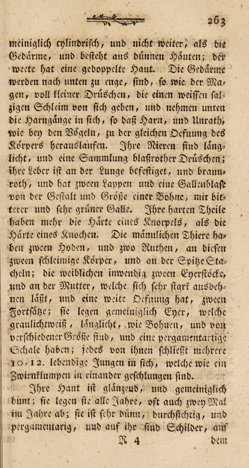 nictni^licT) cplmbrifd^r unb md?t tt?d^er, bic (5)cbcitmef unb beflef)t a«i> biittnen .Rauten; bet* mctc f)at eine geboppclte 2)ic ©ebarmc tt)erben nad) unten ^it enge, ft'nbr fo \^k ber ^T^a^ gen, boK fleinei* ^rü^d)enf bie etnen tveiffen fal^ ^i^en ©d}lcrm öon ftd) ^cben, unb nehmen unten bte ^parn^ange in ftd), fo baß Xparn, unb Unrat^f tote Bei; ben 58ogc(n, ber 9ktd)cn Defnung be^ ^lorper^ ^craubtaufen* Spieren ßub (dng== Ud}tr unb eine ©ammlung BlaßrotBer £)ru^d)en,‘ tBre ßcBcr iß an ber ^unge Befeßiget^ unb Bramt^ rotB; unb hat ^tucen Wappen unb eine ©aßcnBiafe bon ber 0cßa(t unb 0roße einer ^of)nc; mit Blt^ tercr unb fcBr grüner ©aKe* 3B^<^ Barten 'i^Beiic BaBcn mef)r bre ^)di’fe einc^ 5vnorpd^, al^ bie /pdrte einc^ 5tnod)en» £>ie mdnnlicBen ^f)terc ha^ bcu ^tt>ecn fpobeUf unb ^ioo SlutBen, an btefen ^roeen fd)tciniiöe 5torperf unb an ber ©pige^ta^ d)cln,* bie tueiBIccBcn inmenbj^ pueen ^pcrßodef unb an ber 3)vutter, toelcBe ftd) feBr ßarf aiiobcf^ neu idßtf unb eine tbeite ^Oefnuu^ i)^t, ^mecn 5ortfd§e; ße legen gemeiniglid) 0peiv tt)cfd)e grauIicBttueiß f (dmßidßf .mie ^oBueiiA unb bon t):tfd)iebencr0rdße ßiibr unb eine pergamentartige' ©d)ale BaBcn; jebe^ Pon if)nen fd)!ießt mcBrere 10.12* tcBcnbige 3ungctt in ßd>, tpctd)e toie ein Sroirnüumpcn in einanber gefd)lungen ßnb* 3Bre ipant iß gldngeub^ unb gemeinigtid) Bunt; ße kgen ße oft and) im 3al)re aB; ße iß fc^r biinu; burd)ßd)tig, unb pergameutarigf uub auf iBr ßub ©d/dberf auf 4 hm