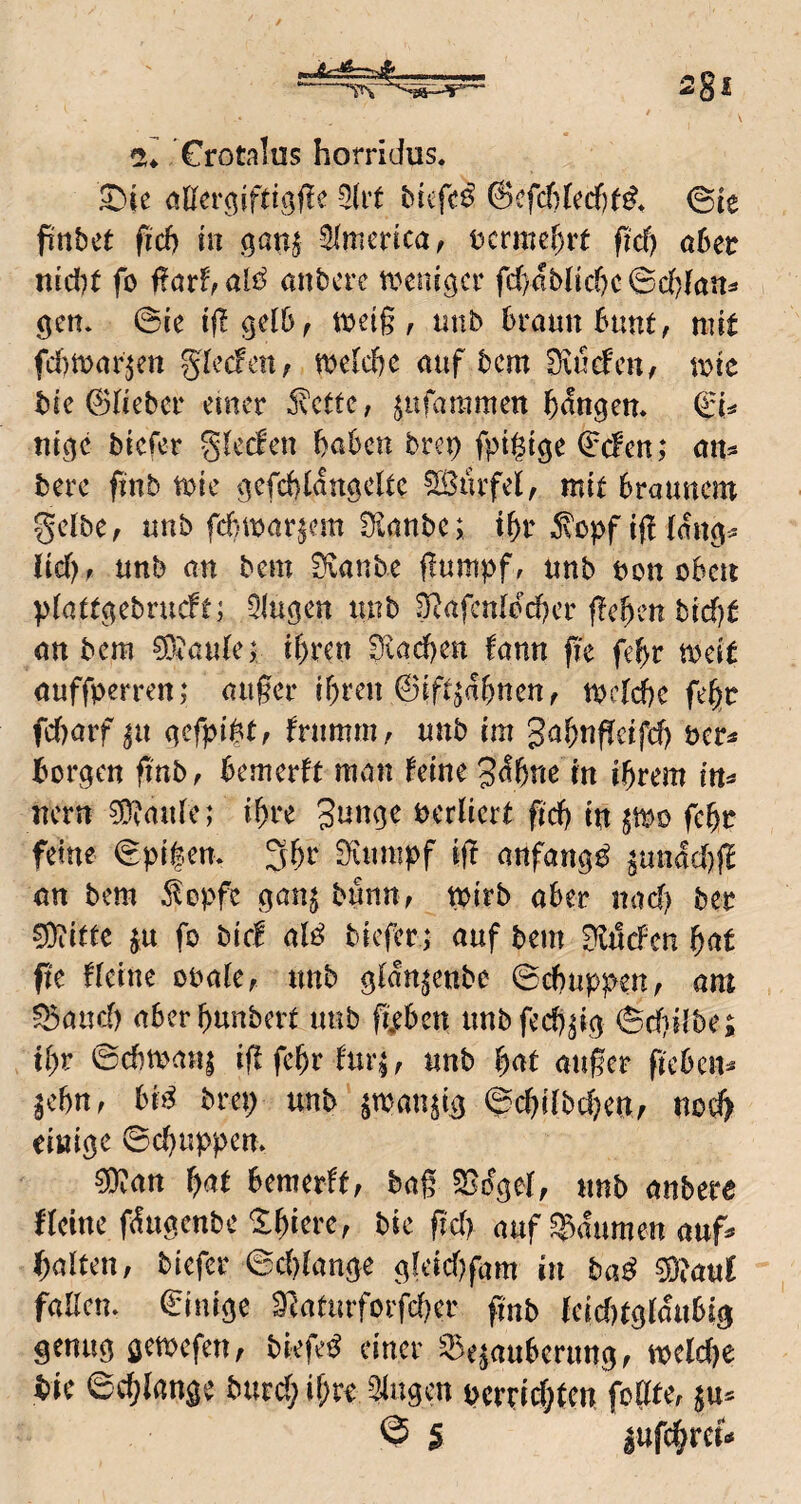 Crotalus horridus. S)ie ößer^iftigfle 5(it ©ie pnbct (id) in SImcrica, t?crmcf)rt (id) öber nid)t fo ßarfrali^ mtbcrc tx^enigcr fc()ablicf)c©d}(ans gen. ©ie ifl-gelbf tijei§ , tinb braun bunt, mit fd)mar^en gledfeti; melcbc auf bcm Diuefcu/ mie bie ©lieber einer ^ette, ^ufammen ^fegen* €i^ ntge biefer glecfen haben brep fptgige ©efen; an* bere ftnb mie gefchlangcUc SBürfel, mit braunem gelbe, unb febmar^em Ülaube; ihr .^opf if! (mtg^ lief), unb an bem Svanbe ffumpf, unb bon oben piattgebrueft; Qlugen unb S^afcnlocher flehen bid)t öu bem ^lauiej ihren 3iachen tarn fk fehr mit auffperren; au§er ihren ©if^ahnen, tbclche fehr fc()arf ^u gefpibtf frumm, unb im gahnffetfd) öcr« borgen ftnb, bemerft man leine 3<^hne in ihrem in^ nern ^Dlaufe; ihre gunge berliert ft'ch in im fehr feine ©pi|en. 3hr 0lunipf i|l anfangs ^unad)fl an bem klopfe gan^ bunn, mirb aber nad) ber 0i}iitte ju fo bici alö biefer; auf bem ÜlttcFen hat fte Heine obale, unb gian^enbe ©chuppen, am ^aud) aberhunbert unb fi^ben unbfed)^ig ©d)dbe; ihr ©d)man| iflfehrlur;, unb hat auger fteben^ ^ebn, bi^ brep unb ^man^tg ©chdbdjen, nod> einige ©chuppem 0)?an hat bemerlt, bag ^Boget, unb anbere Heine fdugenbe ^hicre, bie gd) auf gaumen auf^ ihalten, biefer ©d)iange gfeid)fam in baß 3ölauC faUen. ©intge ^aturforfd)er gnb tcid)tgiaubig genug gemefen, biefe^ einer 'Bezauberung, welche bie ©chlange burd; ihre gingen pcrrid;ten folltef z«*