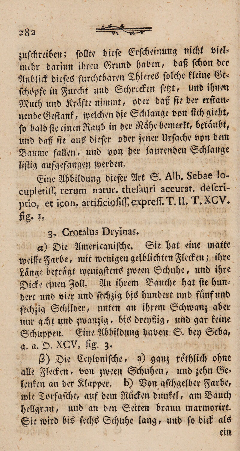 juftficciBw; foütc btcfc ®rfd)ciiiuti<j titcfjf bicU niCi)r fcarttin ifircu ©ntttb f)abeni bdß fcl)on bet ^inblid biefeö furebtbarm Sbiercö feld)e fktne @c» fajb'pfc in gurcf)( unb ©d)rt(fcn unb if)nm unb trnffc nimmt, ober bog ge ber trgau« ncnbc@cganf, welchen bie @c()ran9c »on gcggkbf, fo balb ge einen Staub in ber St^ge bemerff, betfobf, unb baf ge auS biefer ober jener Urfaege öpn bem Saunte fötten, unb gott ber laurenben (gcglangc öufgefatt^en t^erbeitt €ine ^I^SIIbun^ tiefer 5Irt ©* Alb, Sebae lo- cupletilTL rerum natur* thefauri accurat, deferi- ptiOj et icon? artifipofifn^xprefT.T* !!, T,XCV^ ffg« ?s g, Crptalus Dryinas, ä) SMe 3imerieanifd)e» ©ie ^at eine ntötfe ^ei^egarte, mit ti5ettigett9e(6ltd)tengtecfen; t^re tefrac^t meniöf^etti^ ^wecn 6ctu&e, unb if)re £)icfe einen 30(1* 5ln itrem ^auc()e ^at fte f)nn^ bert unb bter unb fed)^!^ (n^ l^unbert unb fünf unb ©d)|(ber, unten an i^rent <gd)man^ ater nur ad/t «nb jman^i^, ti^ brepgig, Ithb gar feine ©d)uppen. €ine ^IttUbiittg bapon ©* tep ©eta^ a* a* D* XeV, %. 3. ß) 2)ic feplpnifd/e, a) .ggn$ pot^(td) o^nc aEe gteefen, Pou jtpeen @d)uf)en, unb $e()tt leufen an ber 5l(apper. b) SSon afd/gelter garte, toie Xorfgfd/e, auf bem ^flü^en bunfel, am 5Baud) ij^eögrau, unb an ben ©eiten traun marmorirt 0ie tpirb ti^? fed)^ ©ci^u^e lang, unb fo biti a(^ eiri