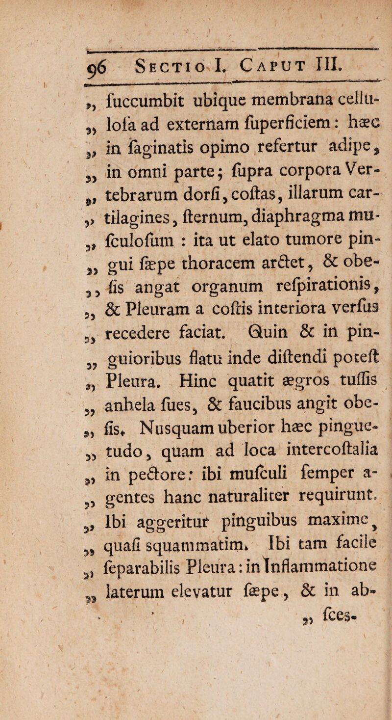 96 Sectio I. Caput III. am ■ >5 §» 5> 3» 3 3 5j 33 3? 53 3? S>3 33 33 5> 3> 39 3> fuccumbit ubique membrana cellu- loia ad externam fuperficiem: haec in laginatis opimo refertur adipe» in omni parte; fupra corpora Ver¬ tebrarum dorfi j coftas, illarum car¬ tilagines , fternum, diaphragma tnu- fculofum : ita ut elato tumore pin¬ gui fepe thoracem arctet, & obe¬ lis angat organum relpirationis, & Pleuram a coitis interiora verfus recedere faciat. Quin & in pin¬ guioribus flatu inde diftendi poteft Pleura. Hinc quatit aegros tuflis anhela fues, & faucibus angit obe¬ lis. Nusquam uberior haec pingue¬ tudo } quam ad loca intercoftalia in pedore.* ibi mulculi femper a- gentes hanc naturaliter requirunt. Ibi aggeritur pinguibus maxime} quali squammatim. Ibi tam facile feparabilis Pleura: in Inflammatione laterum elevatur fepe, & in ab- „ fces- 1